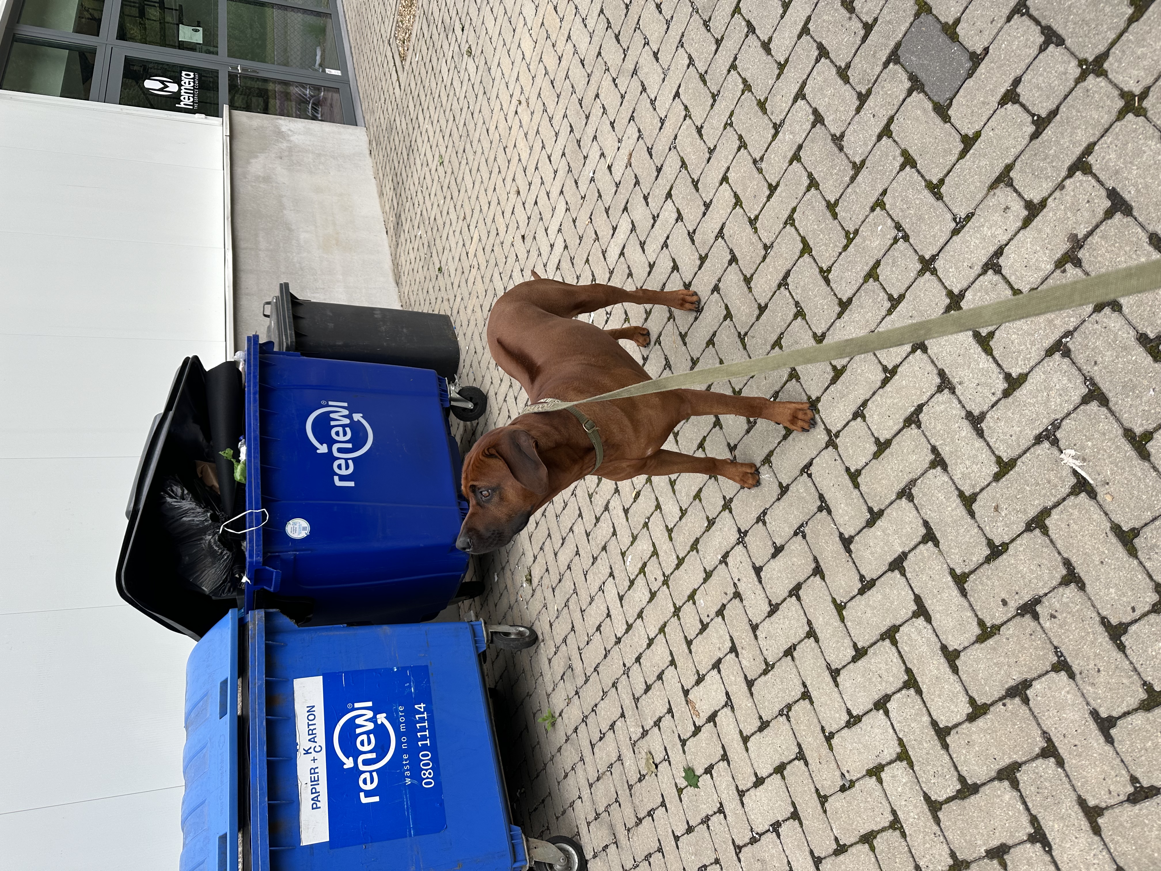 image-14