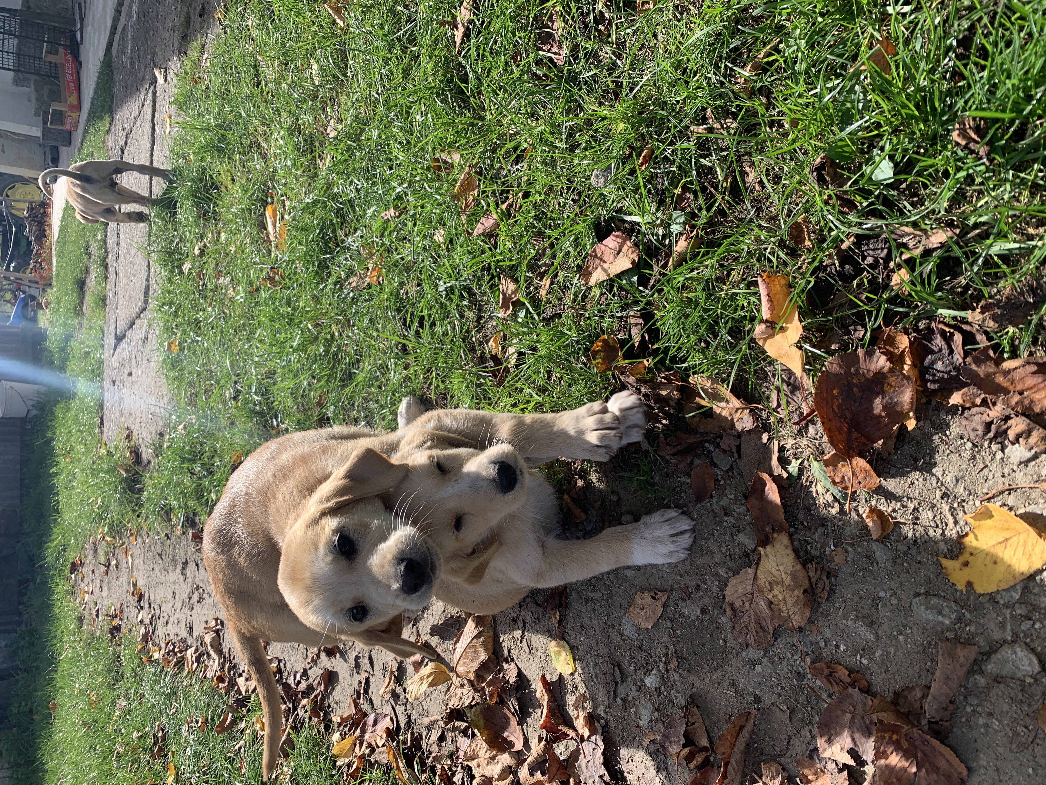 image-9