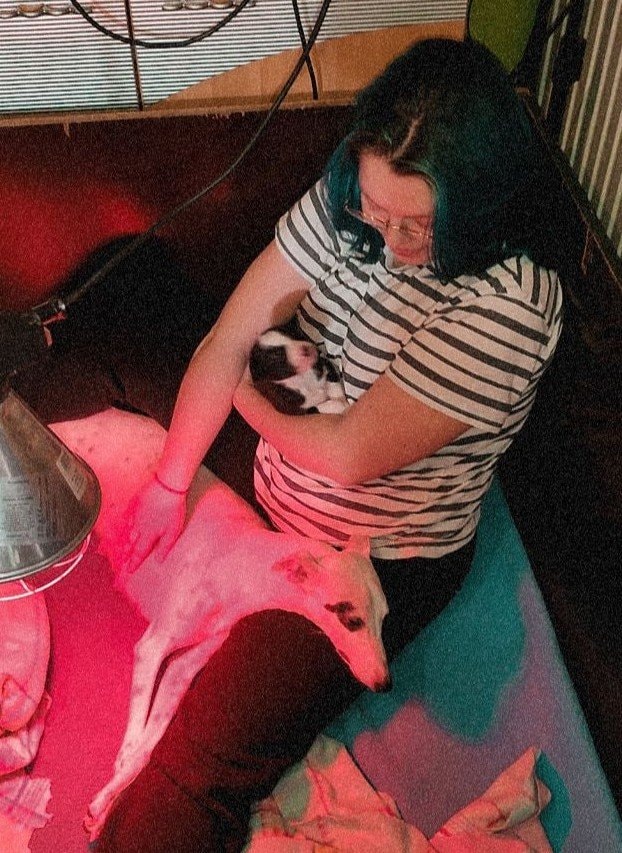 image-6