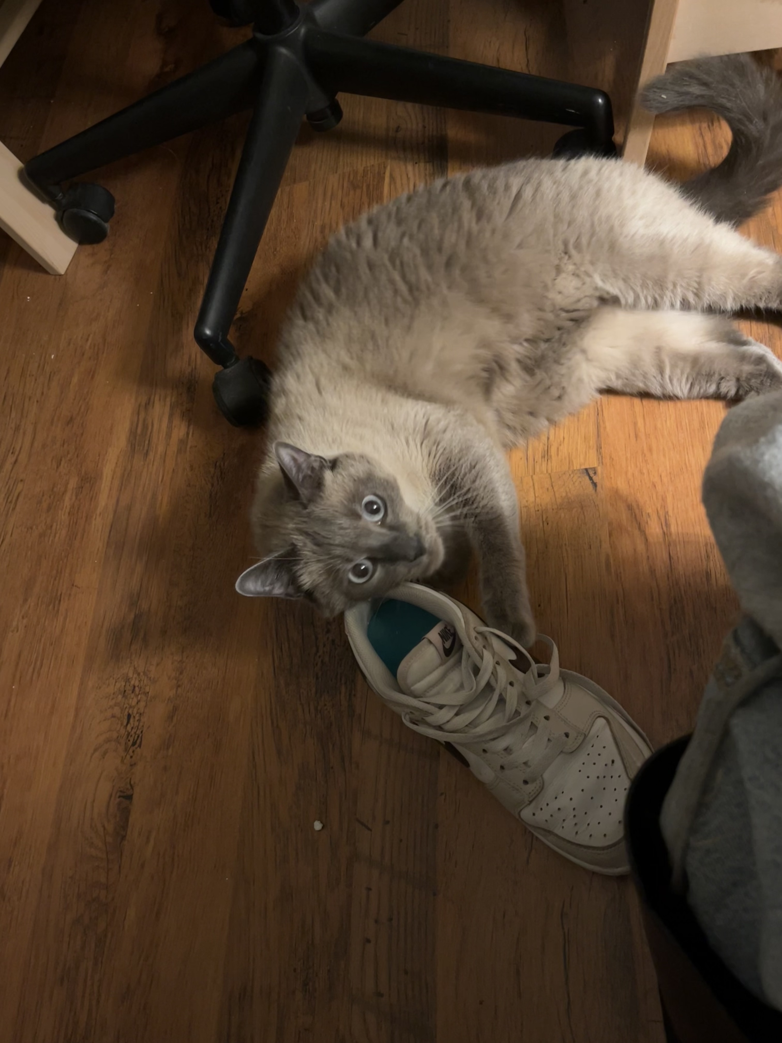 image-8