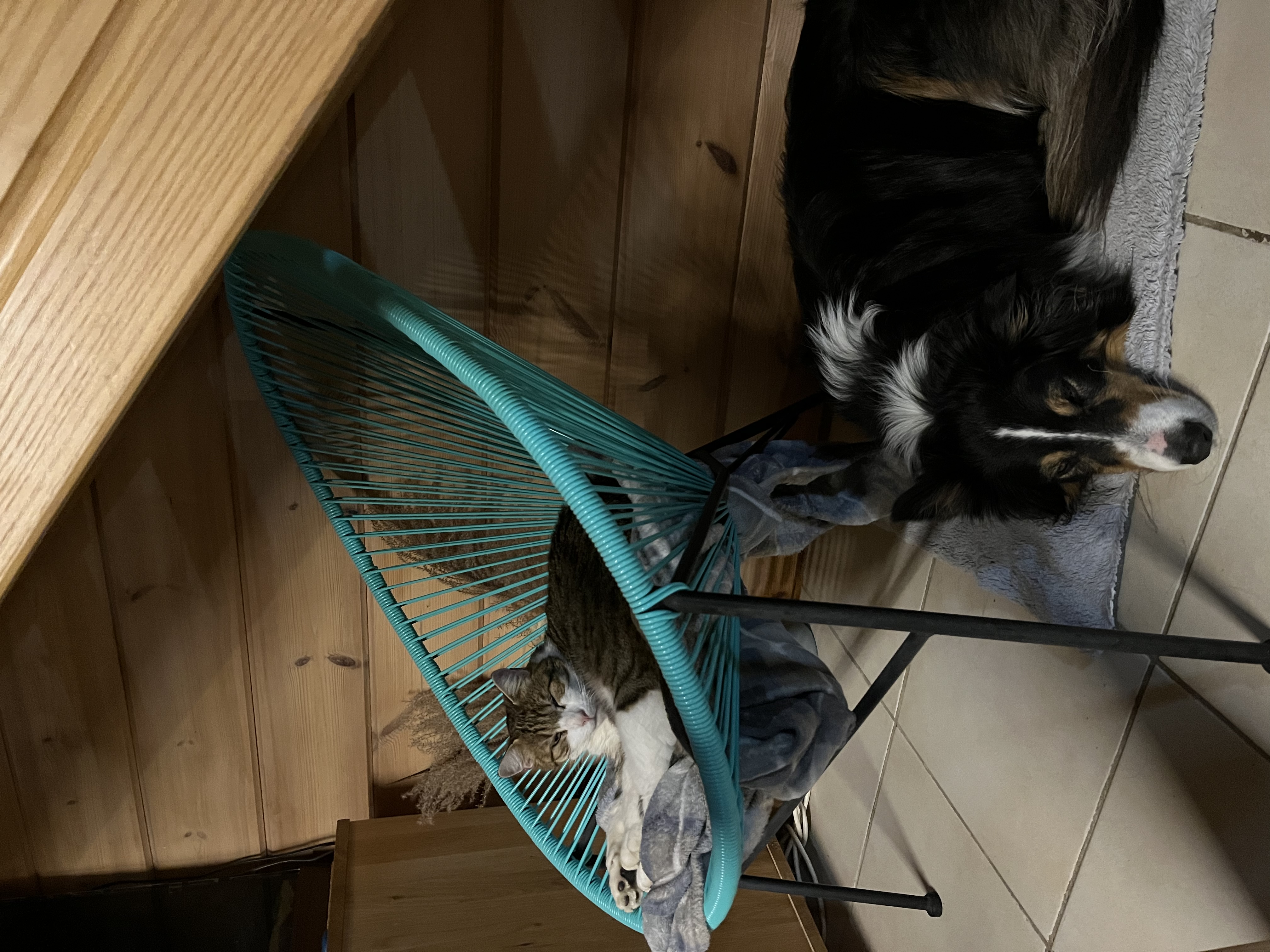 image-7