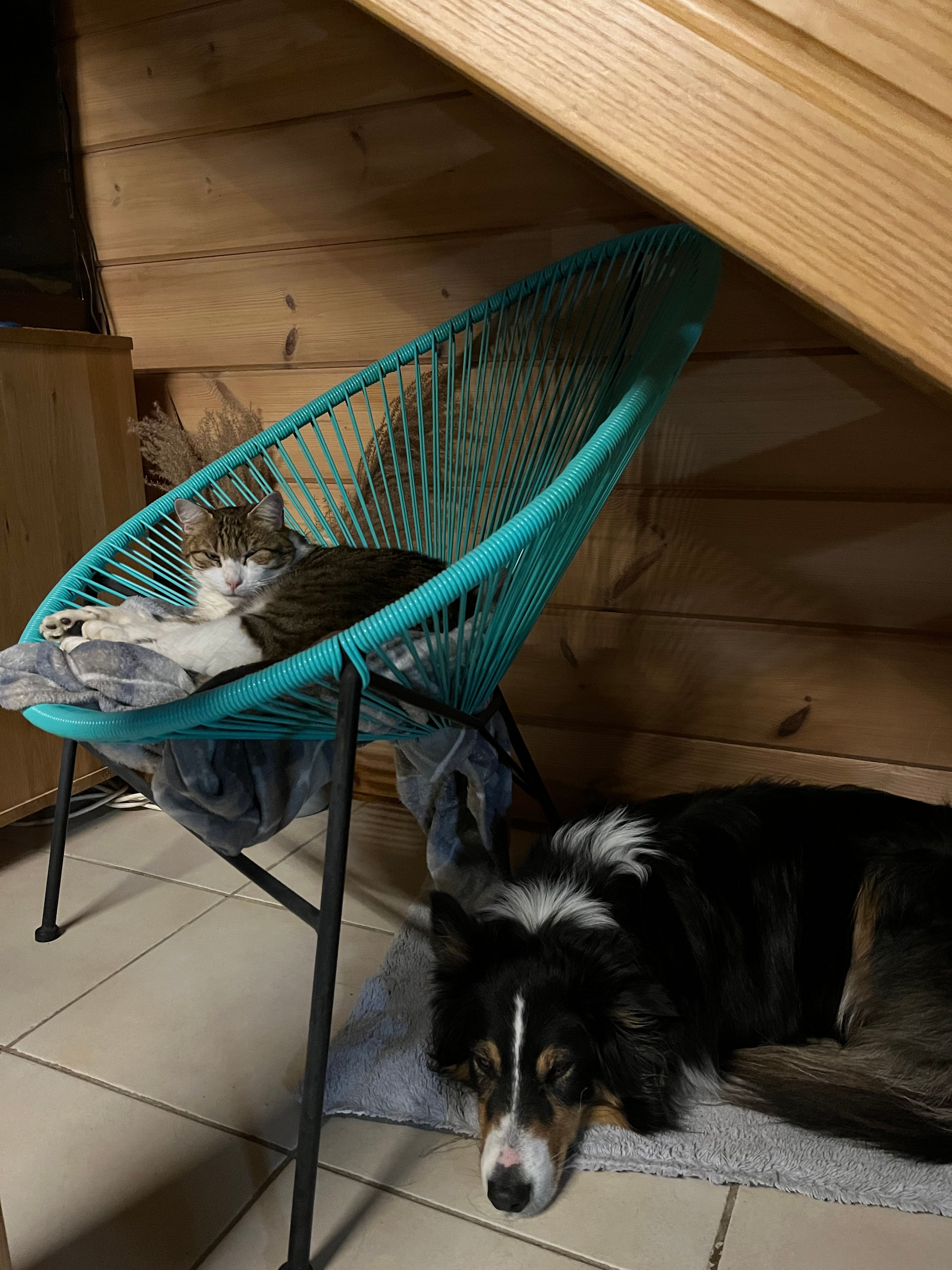 image-7