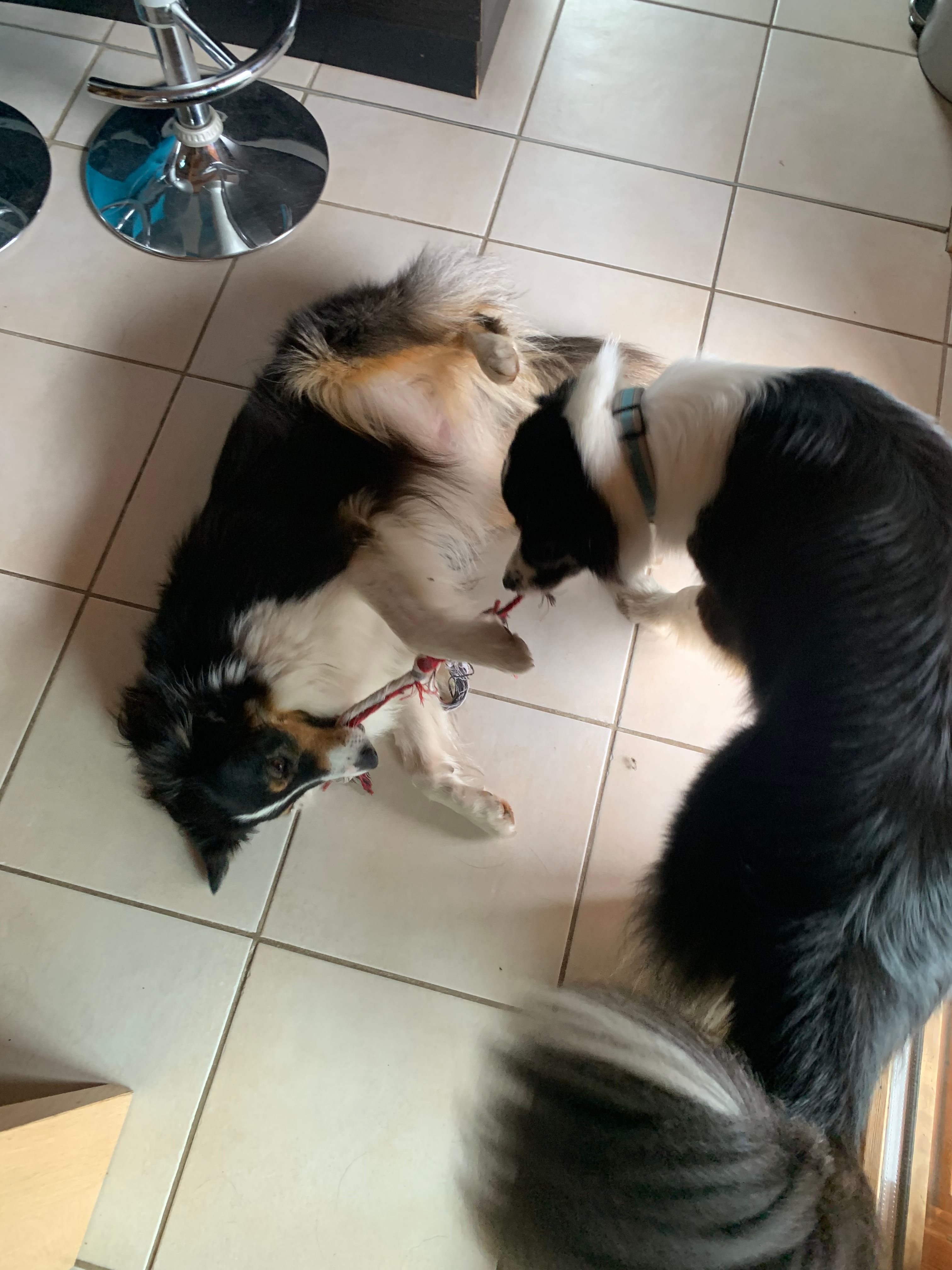 image-6