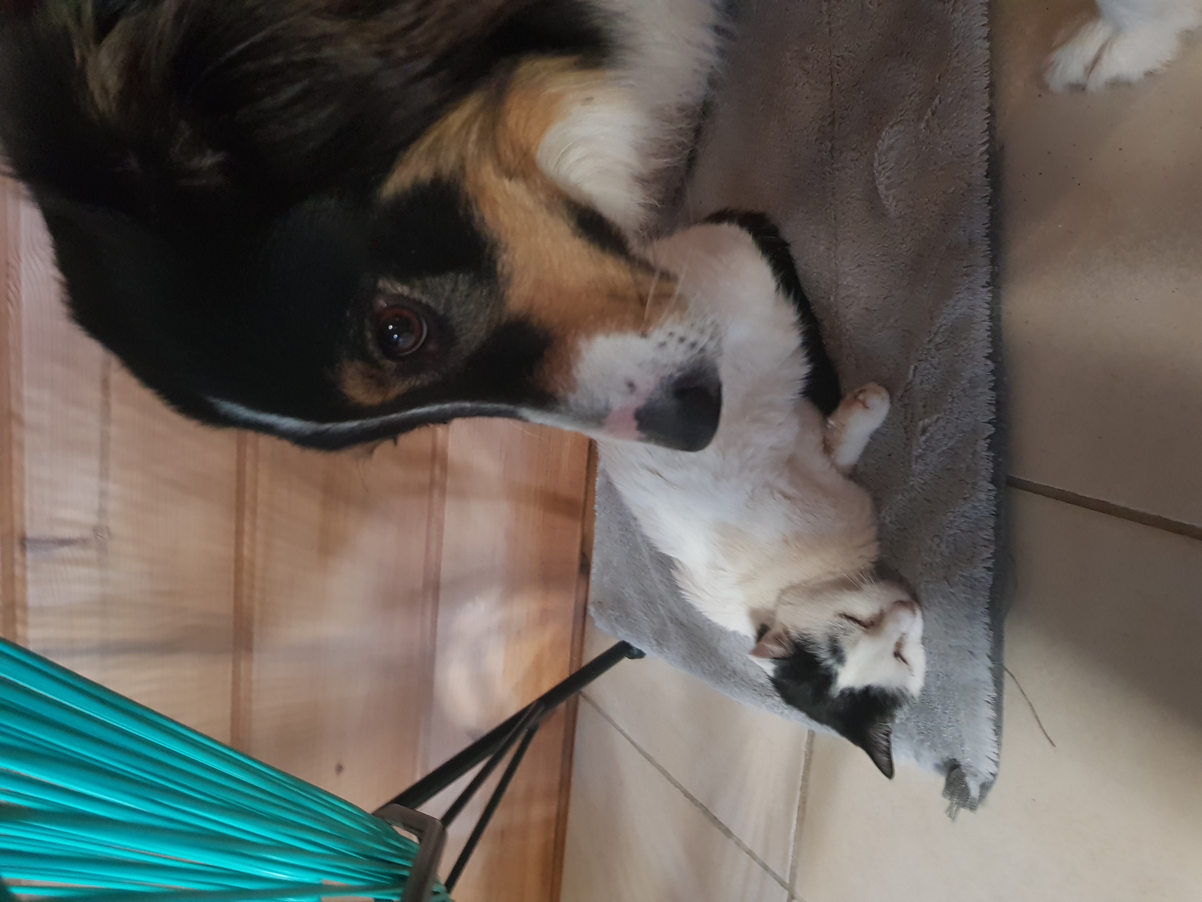 image-12
