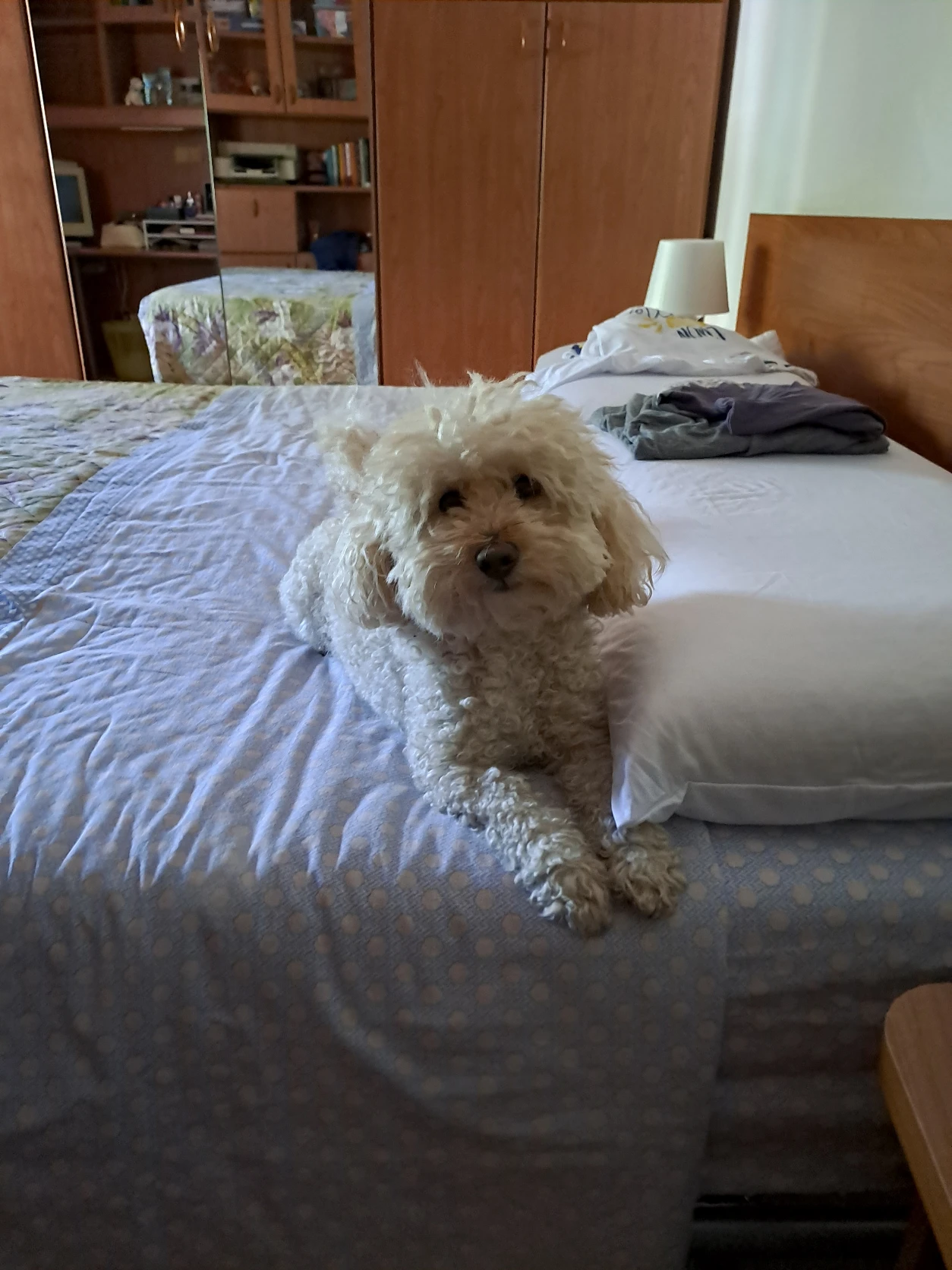 image-32