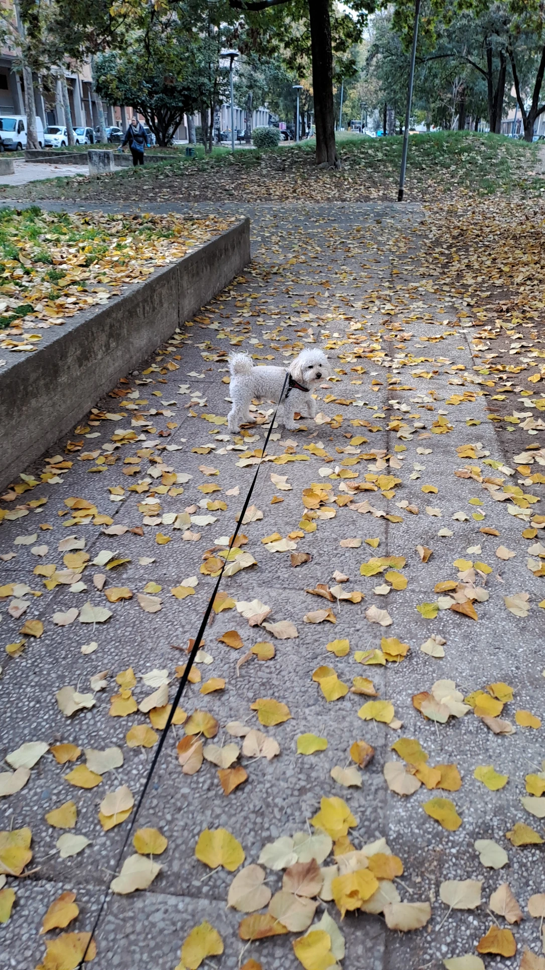image-38