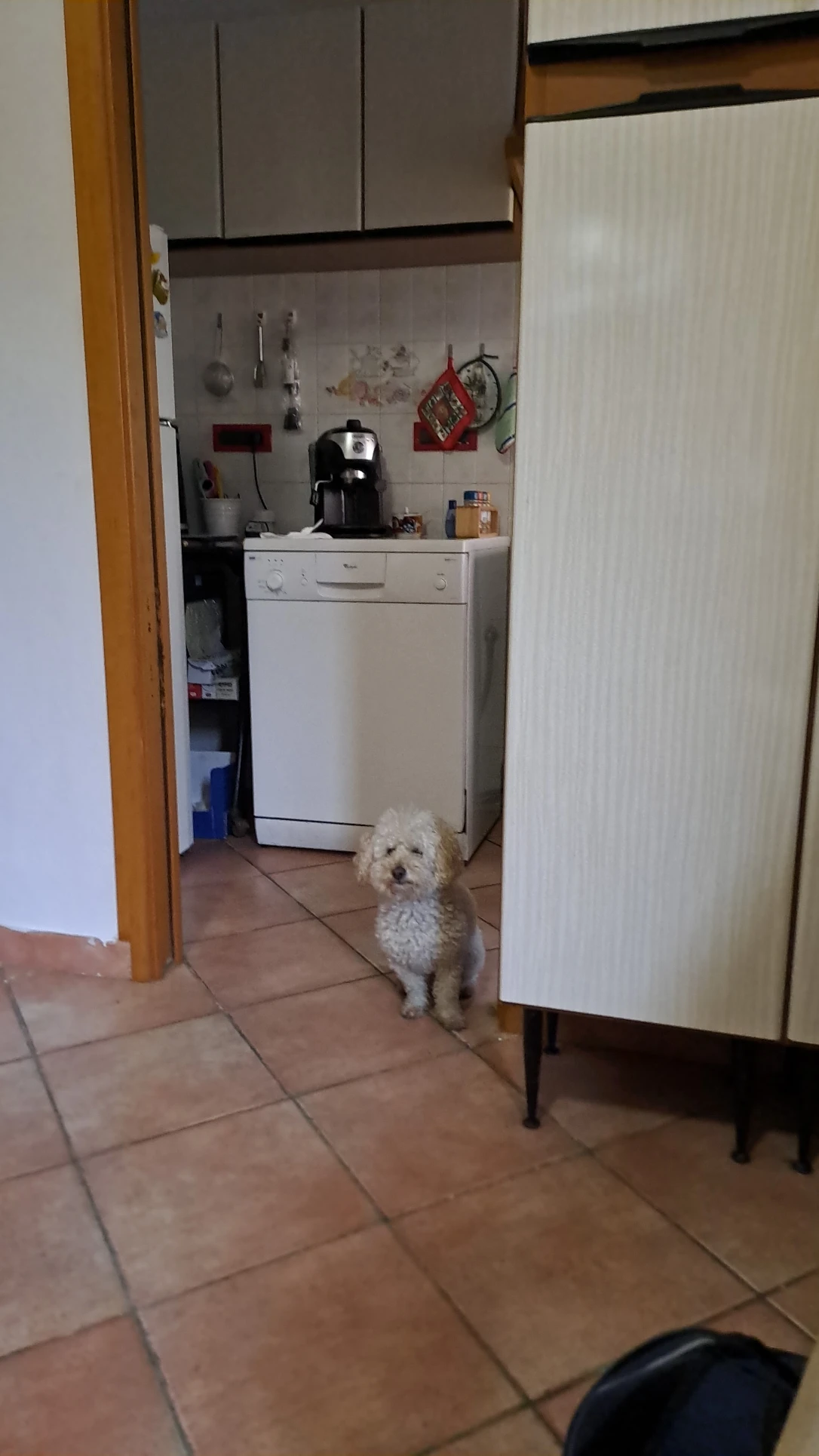 image-37