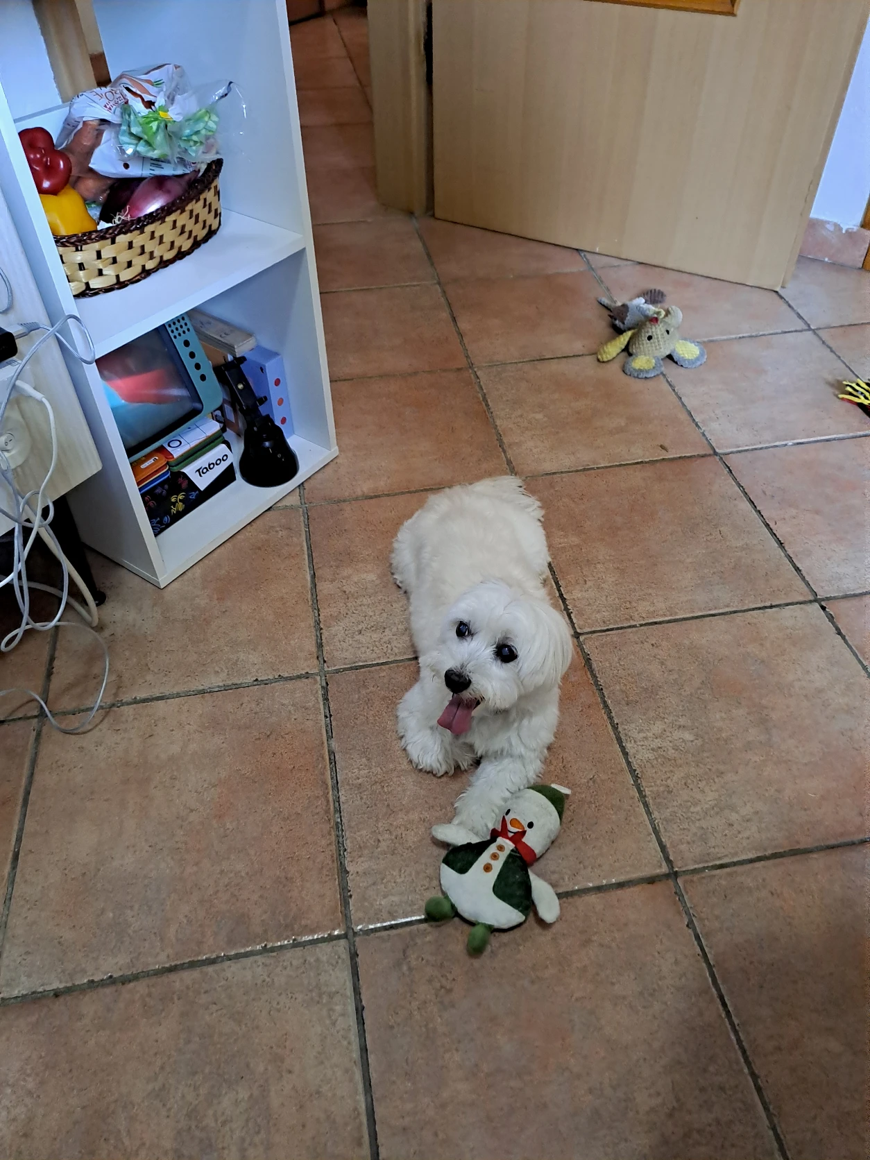 image-30