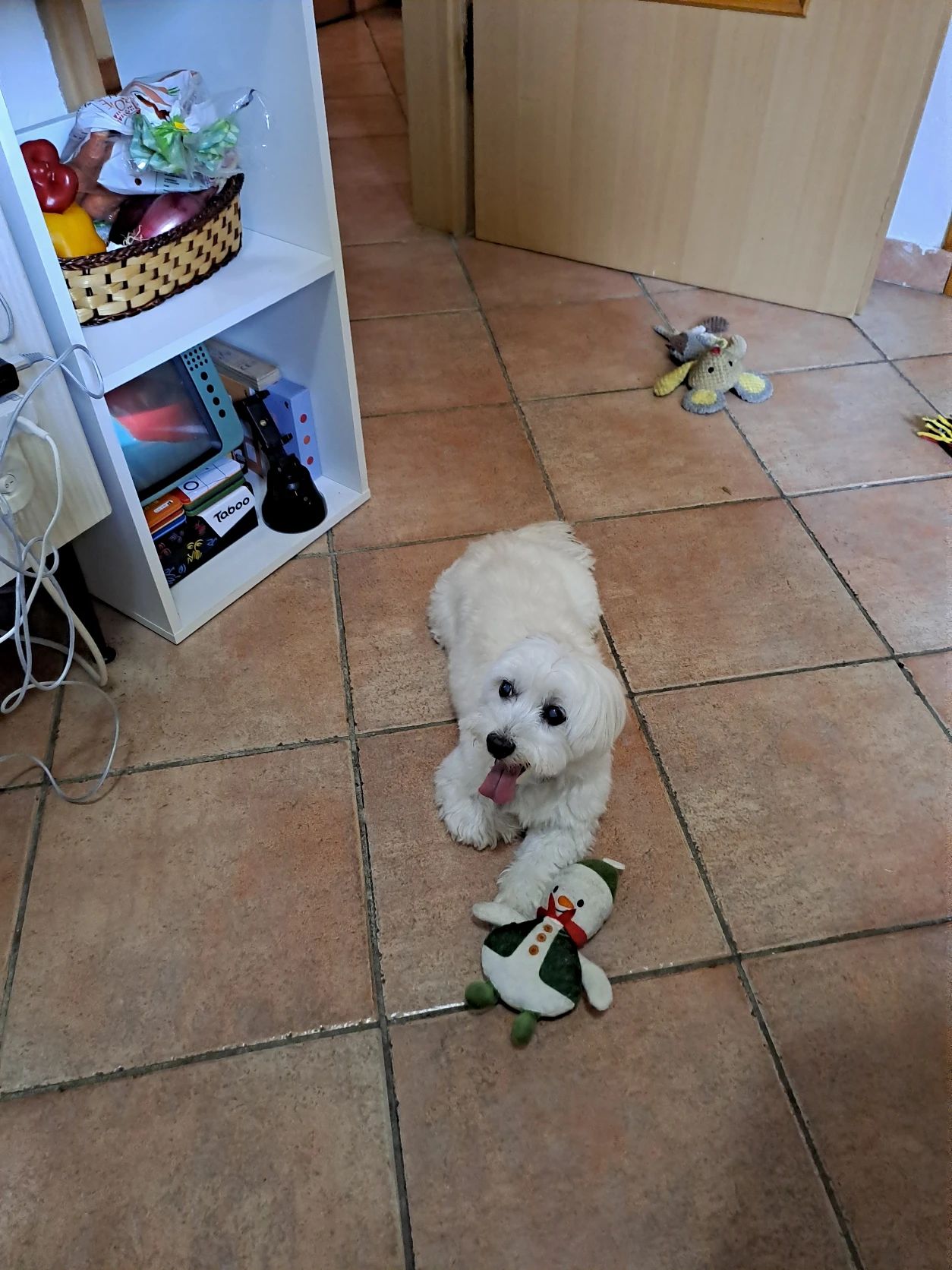image-30