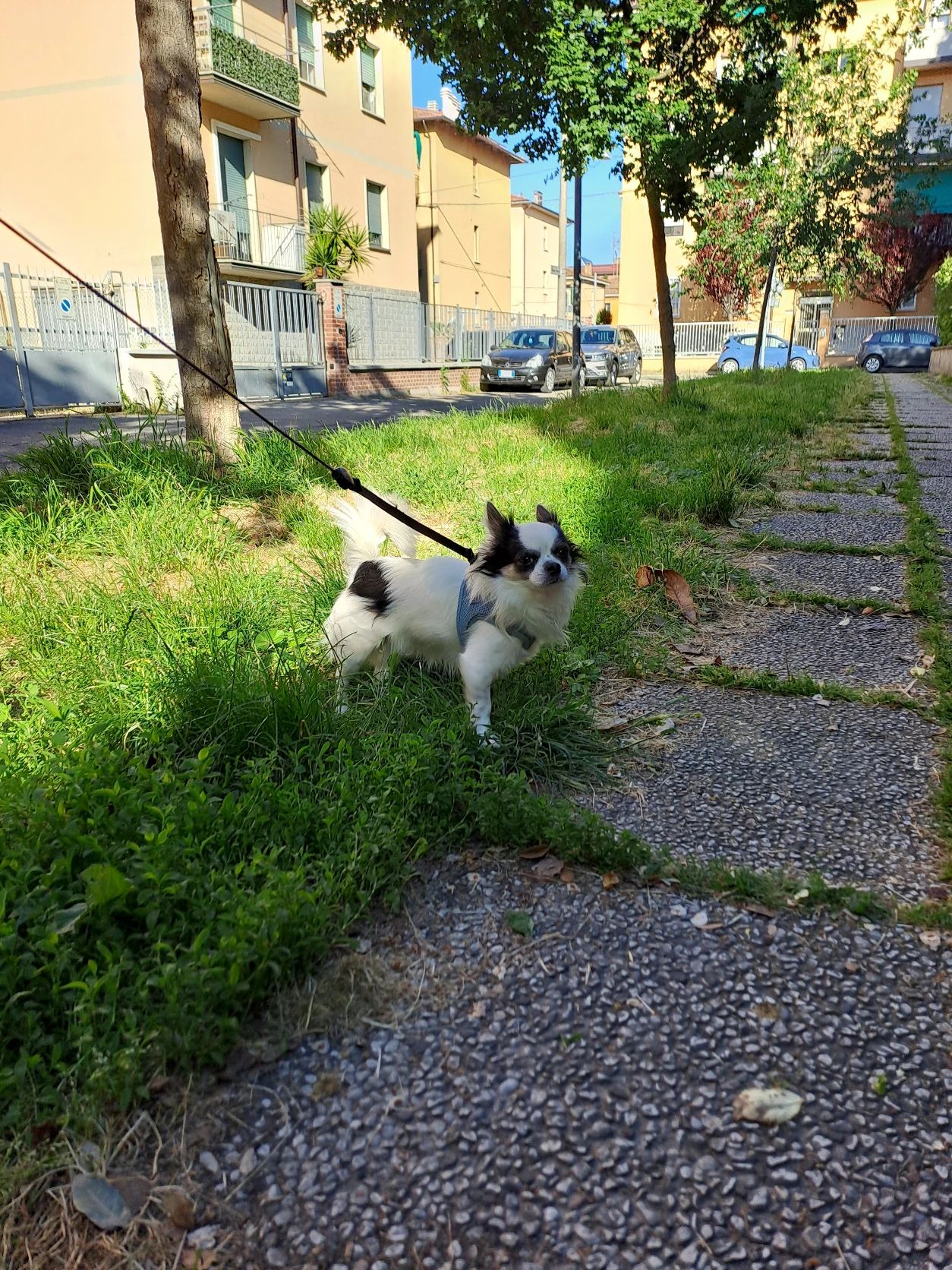 image-34
