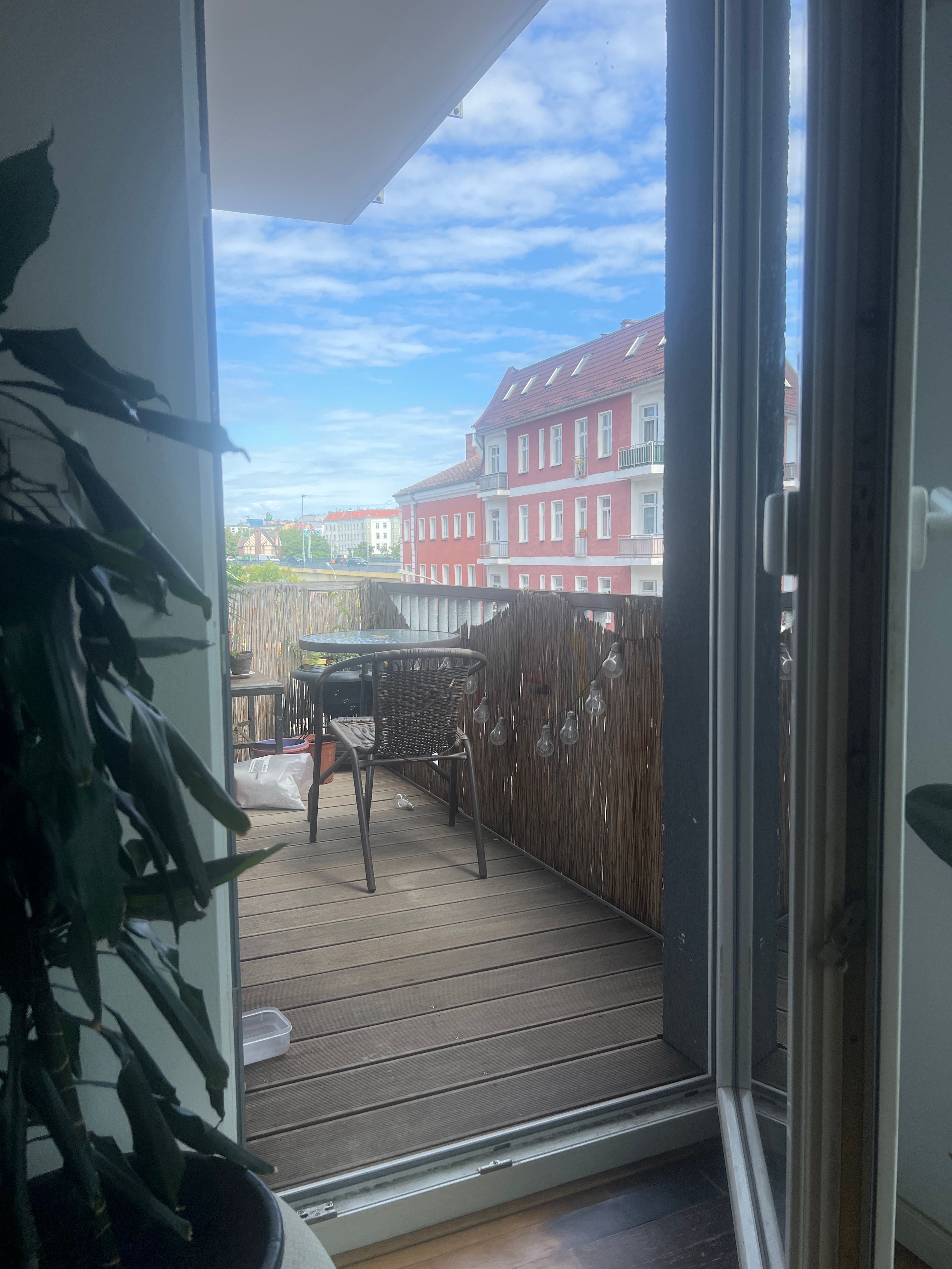 image-19