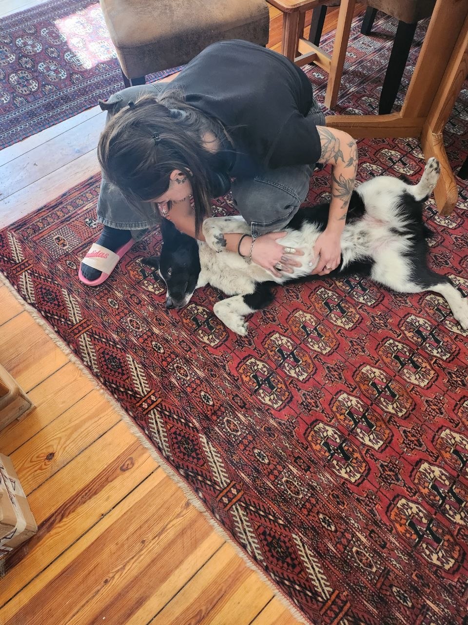 image-9