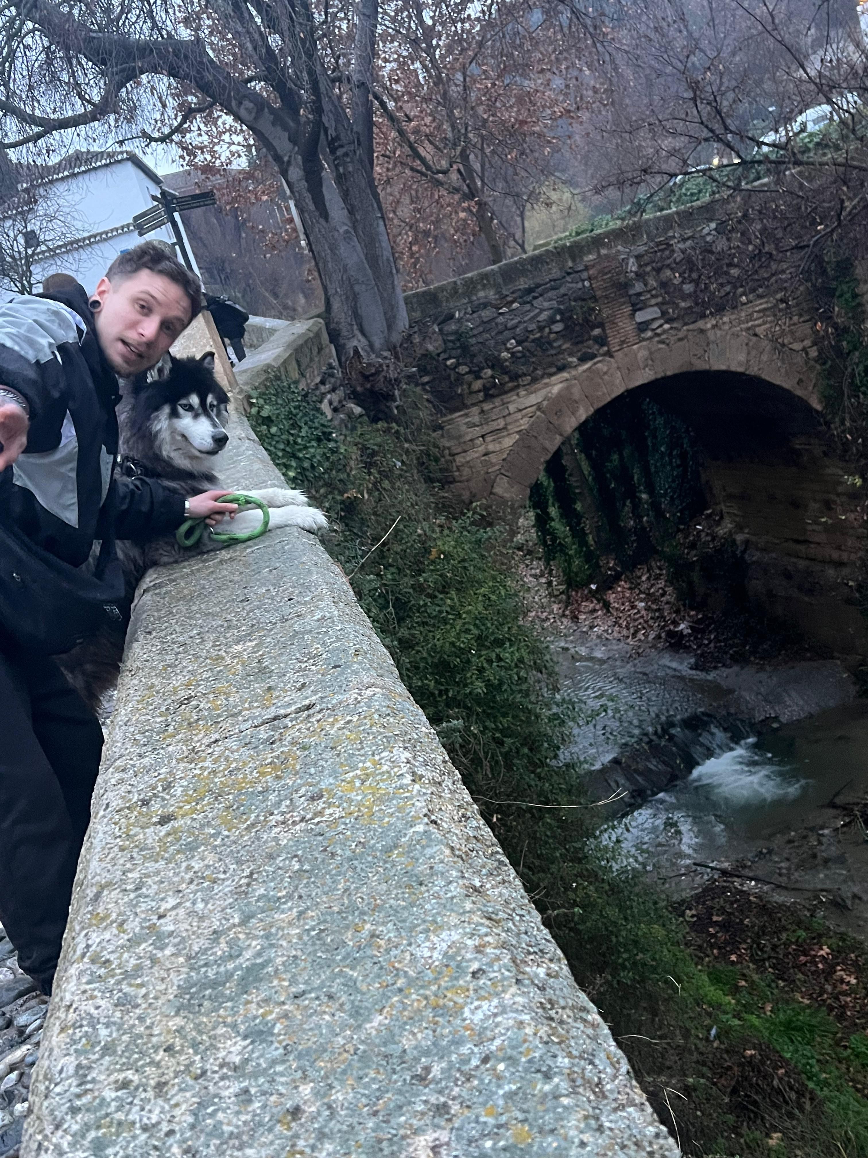 image-13