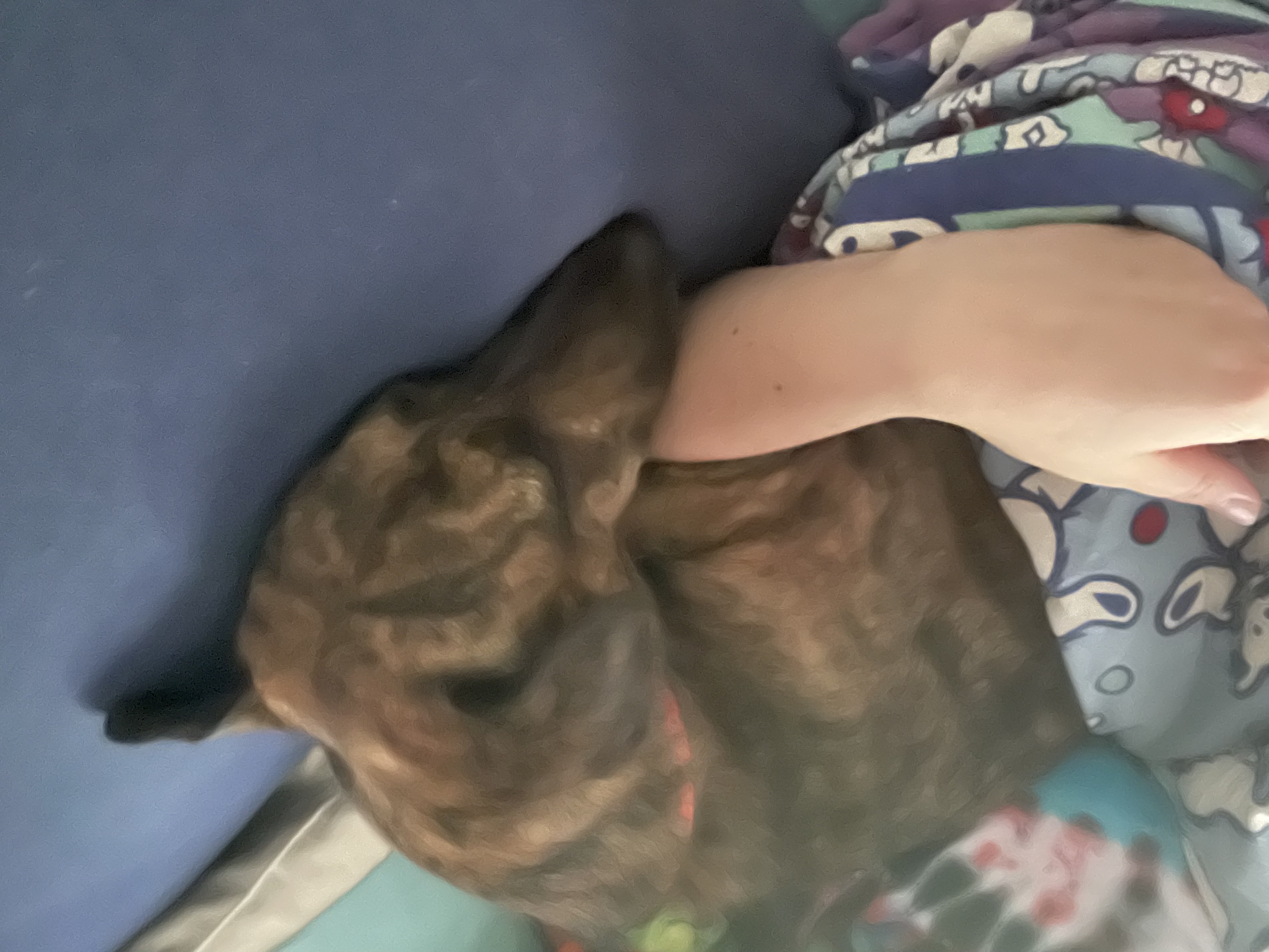image-6