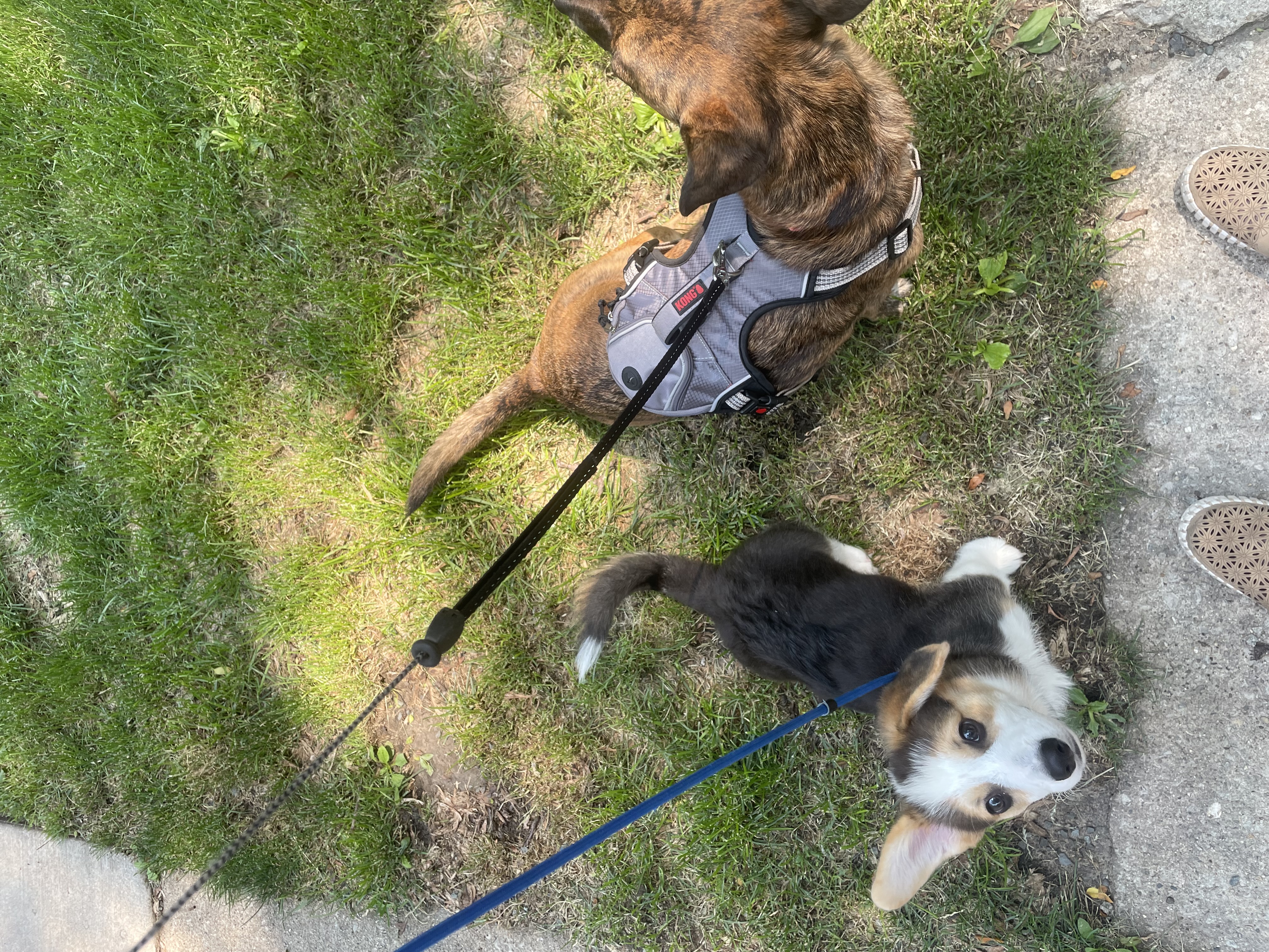 image-9