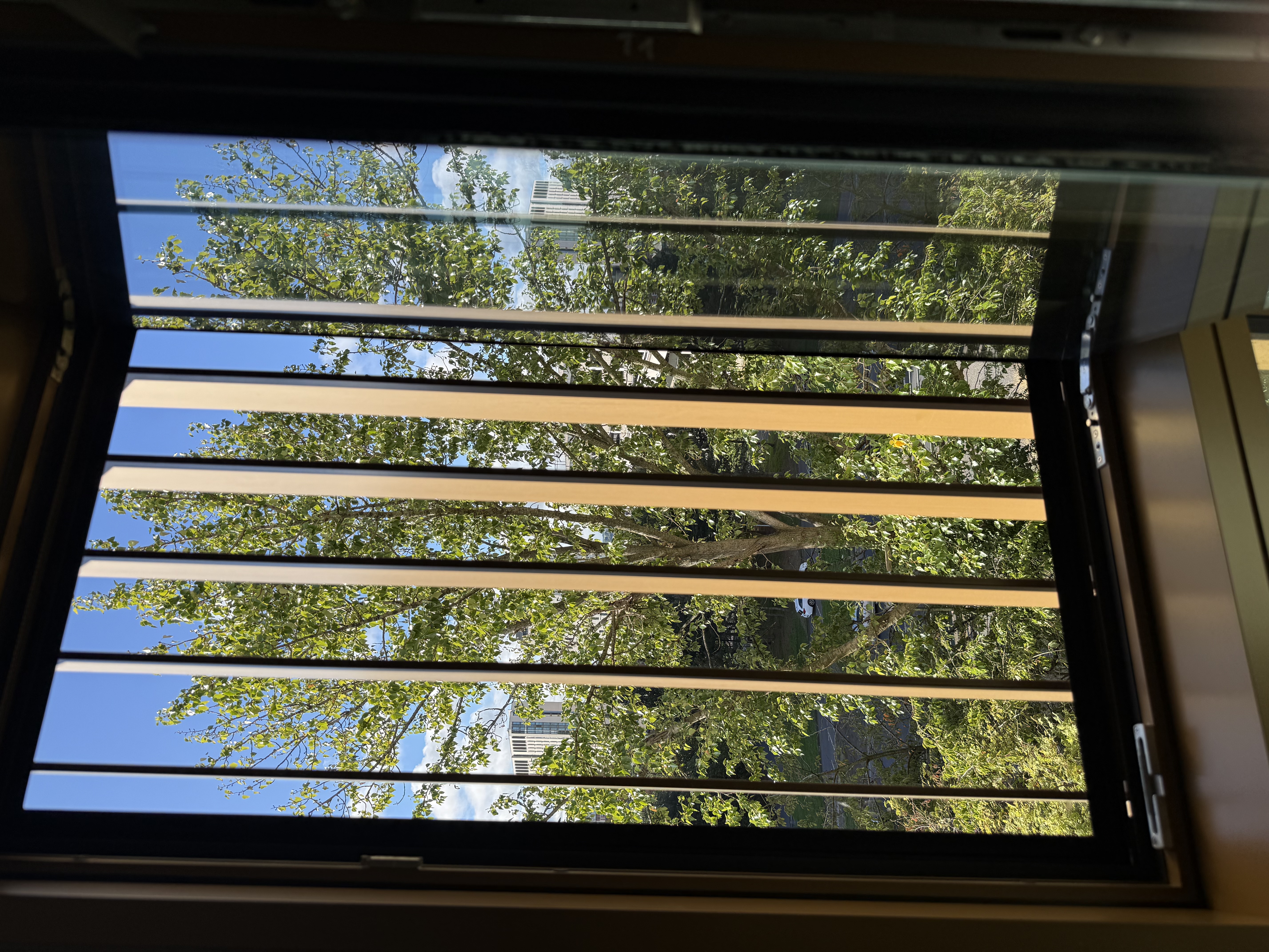 image-11