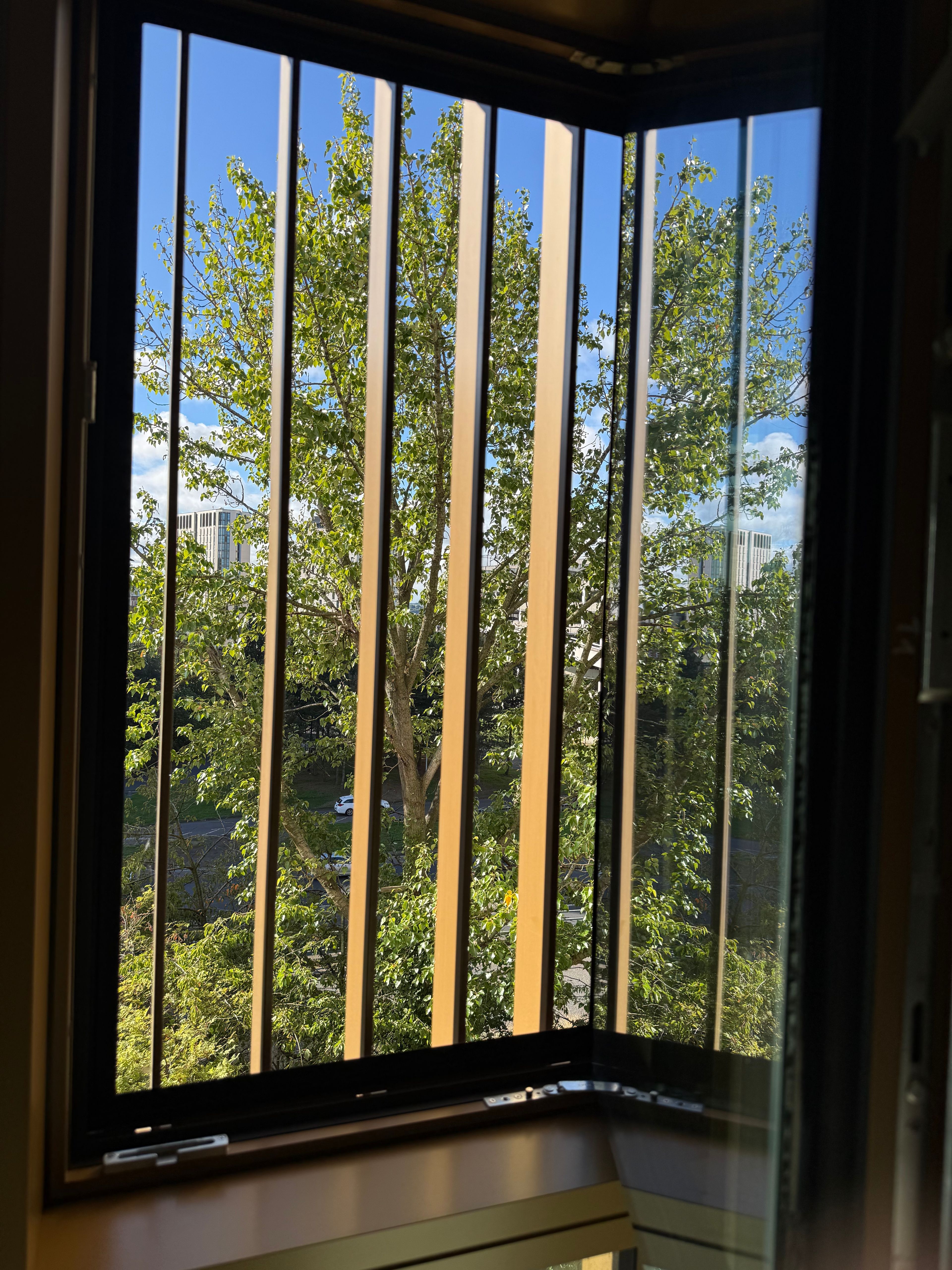 image-11