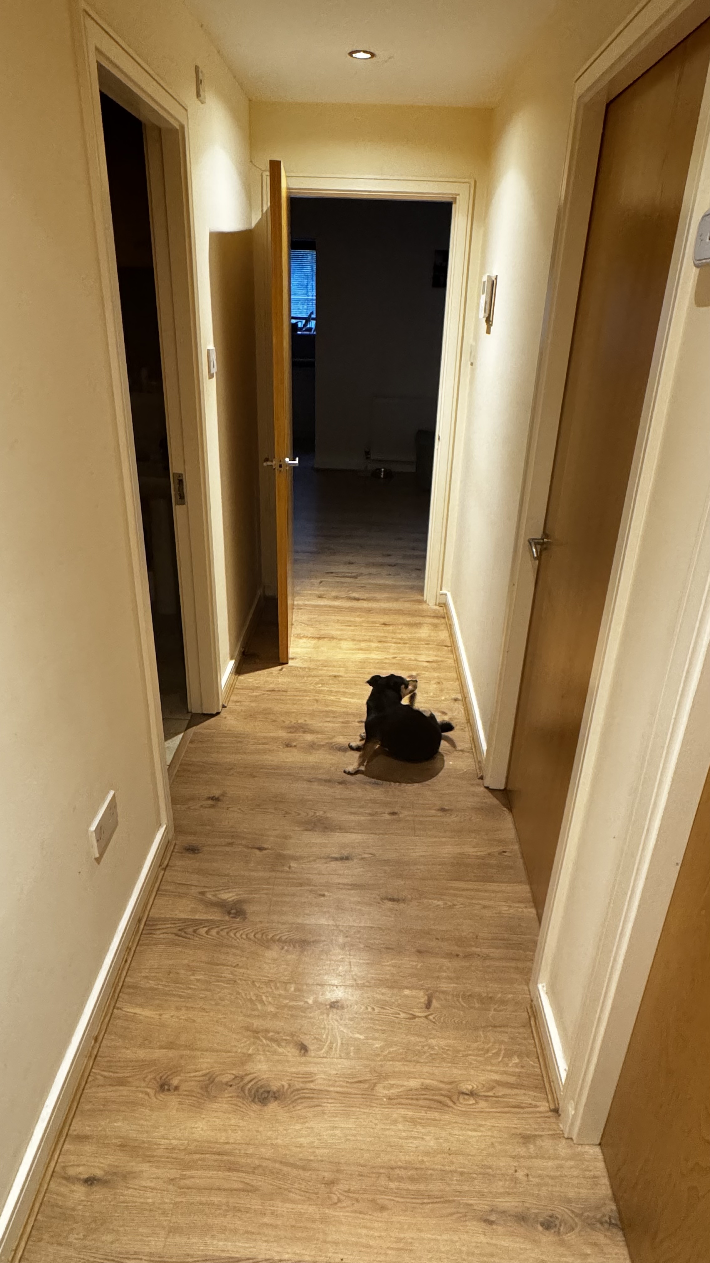 image-8