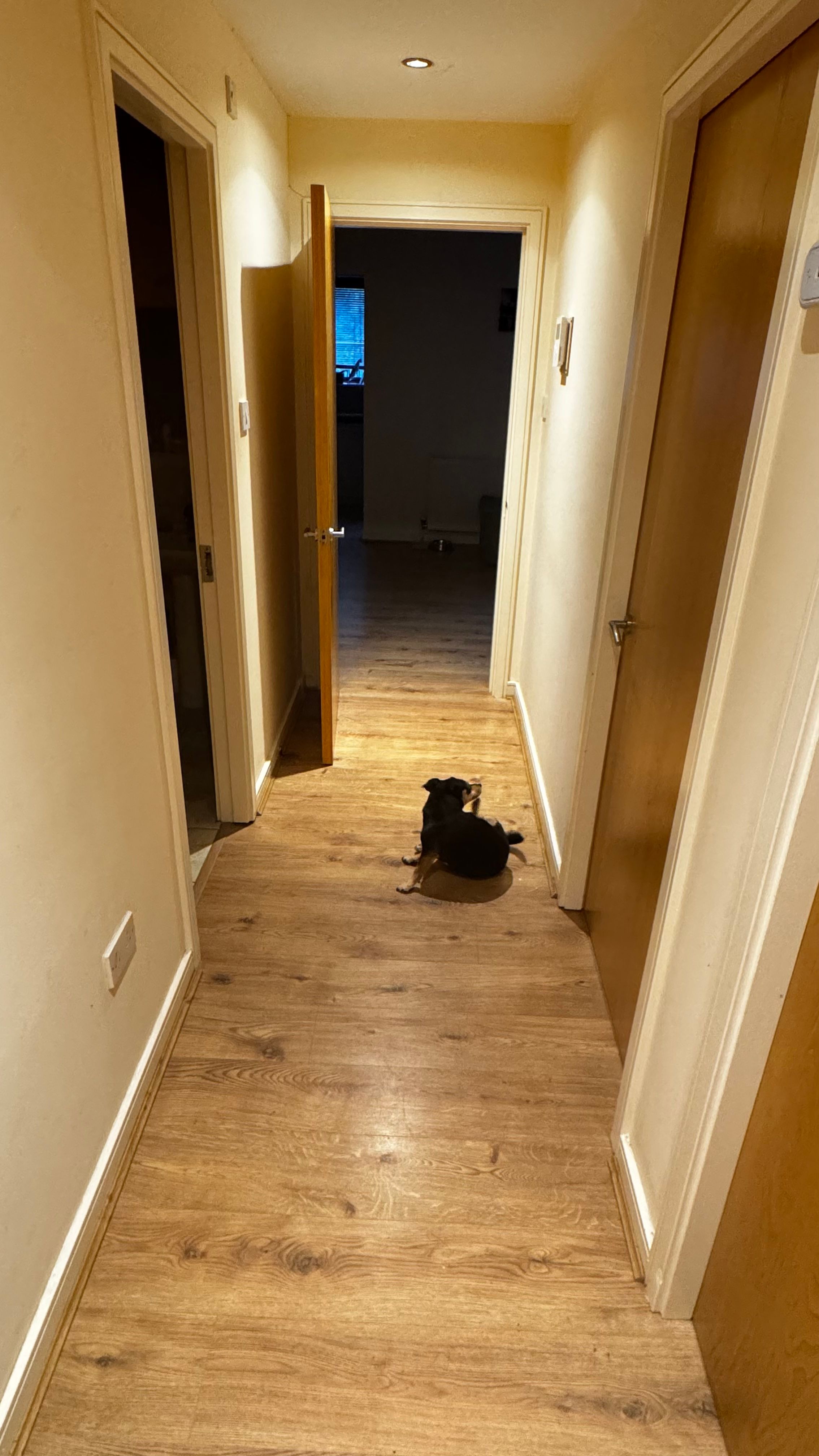 image-8