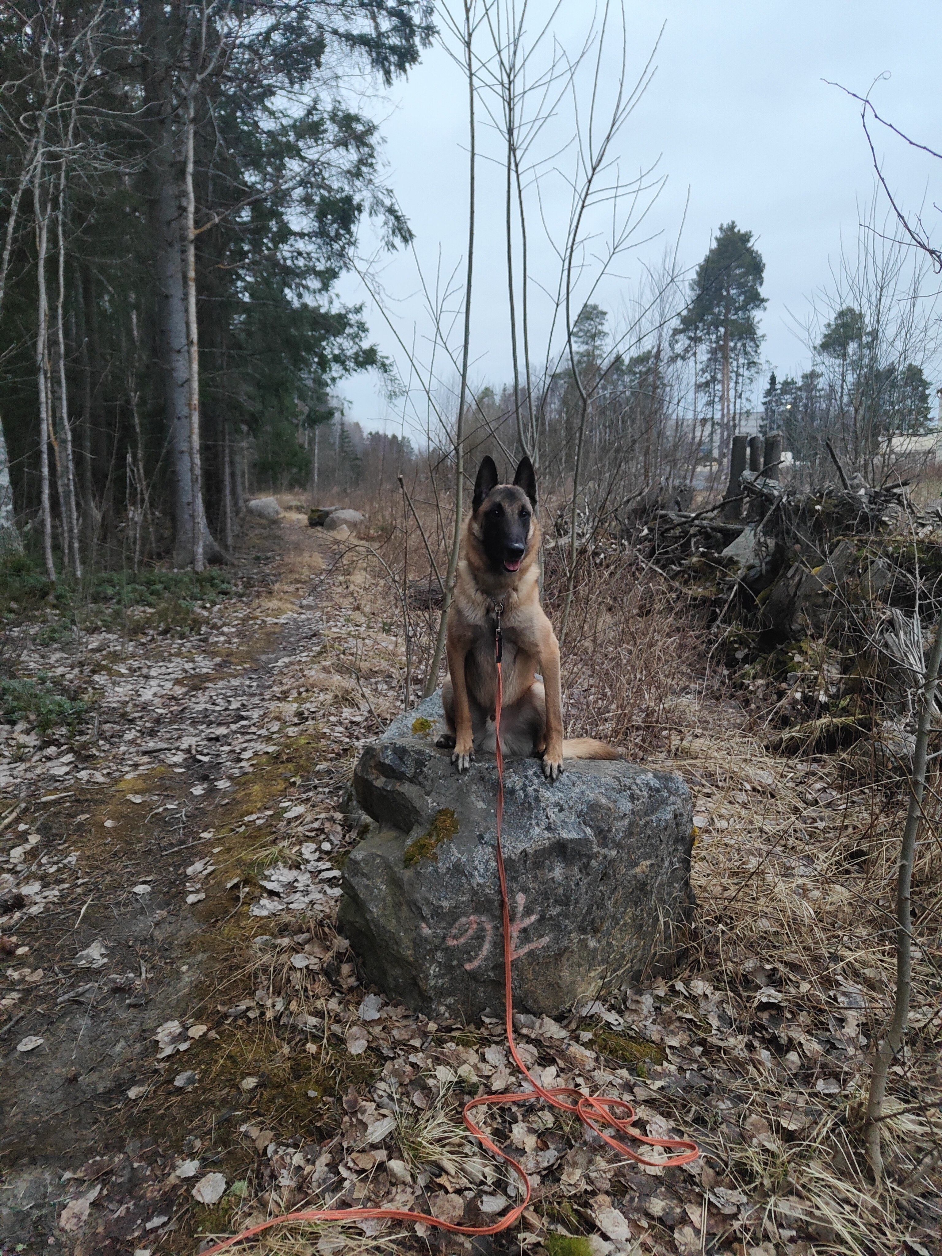 image-3