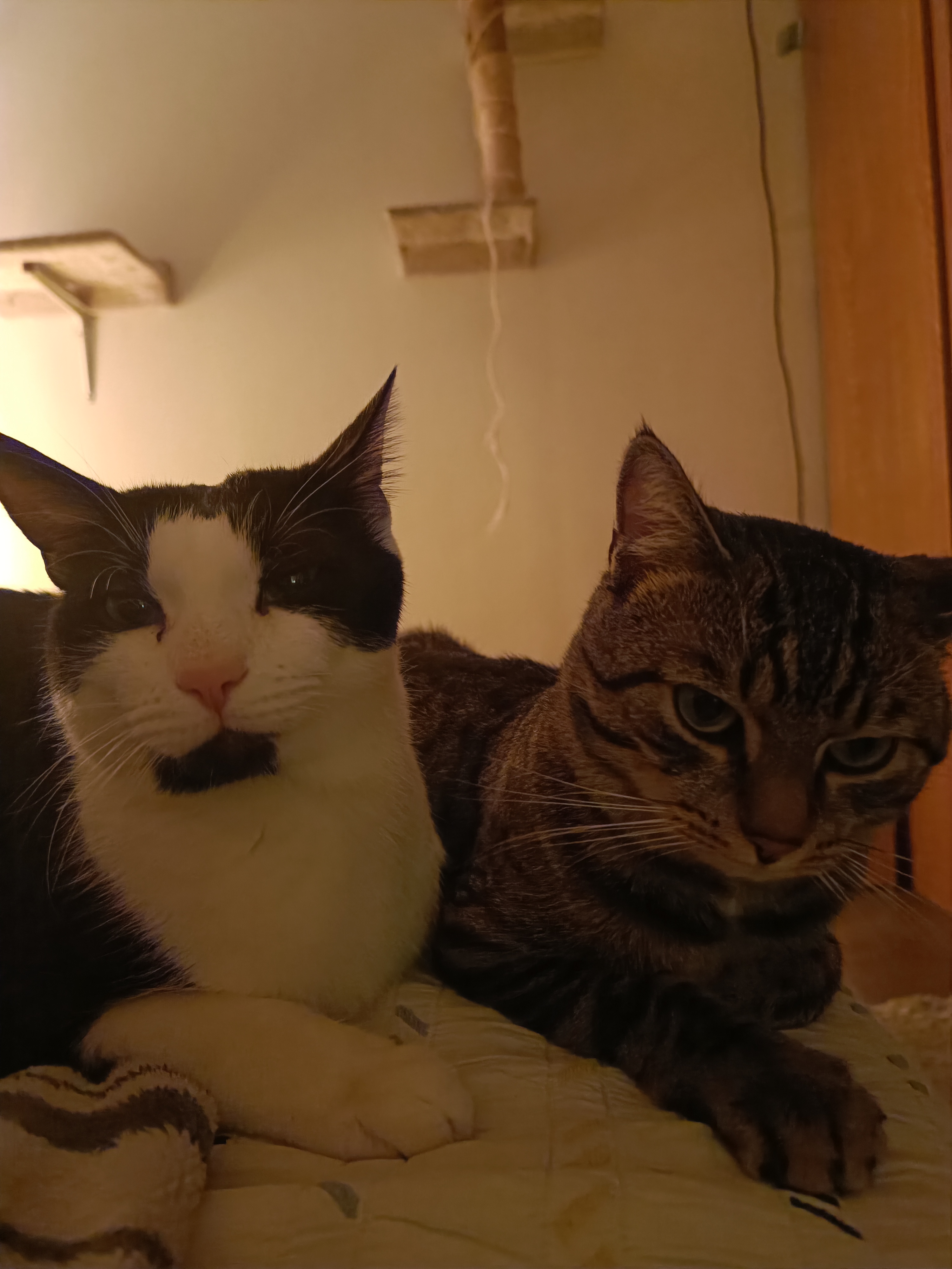 image-8