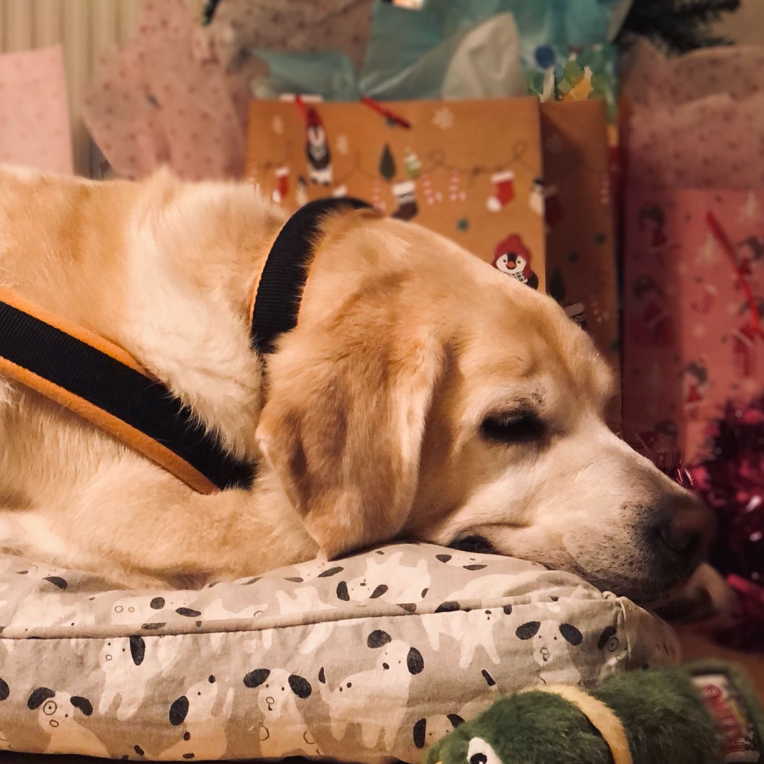 Lalita