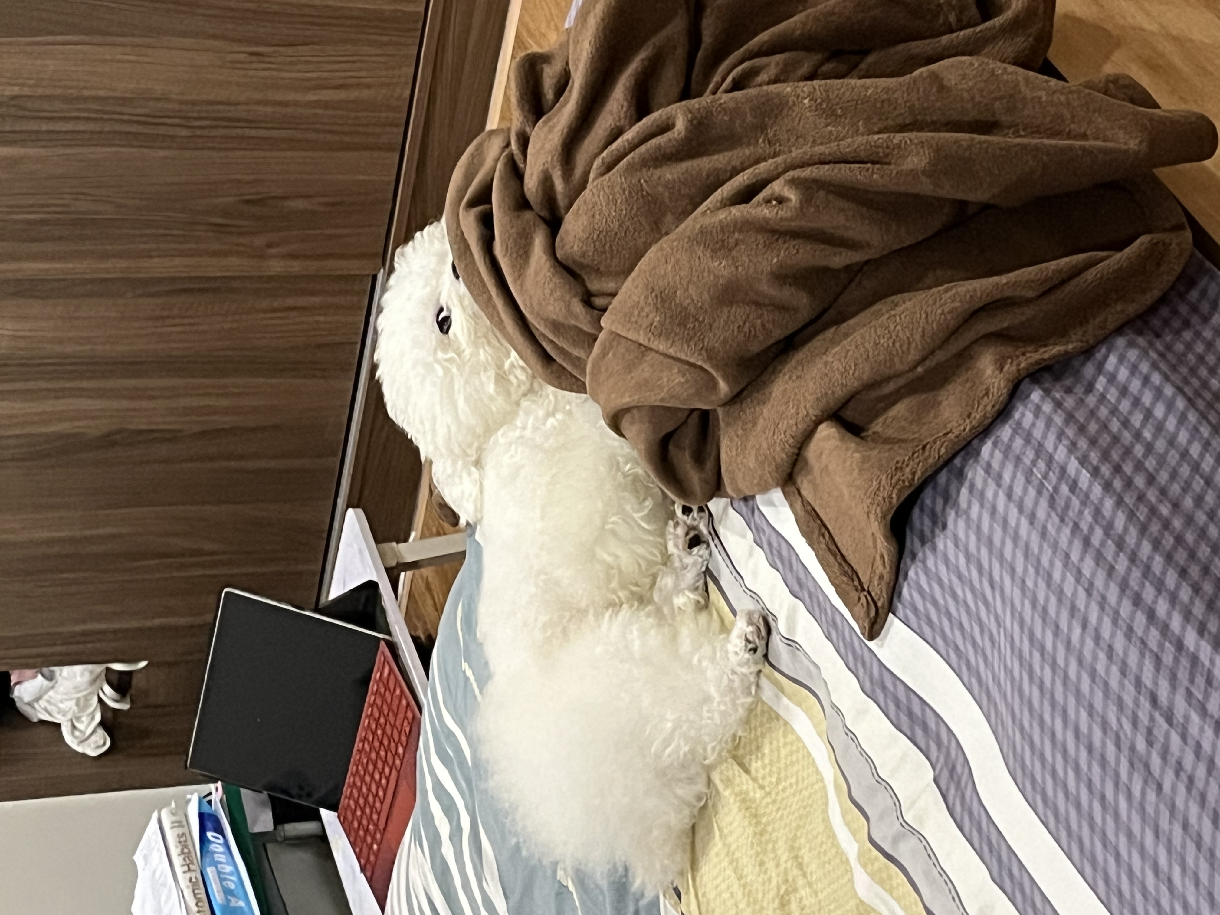 image-15
