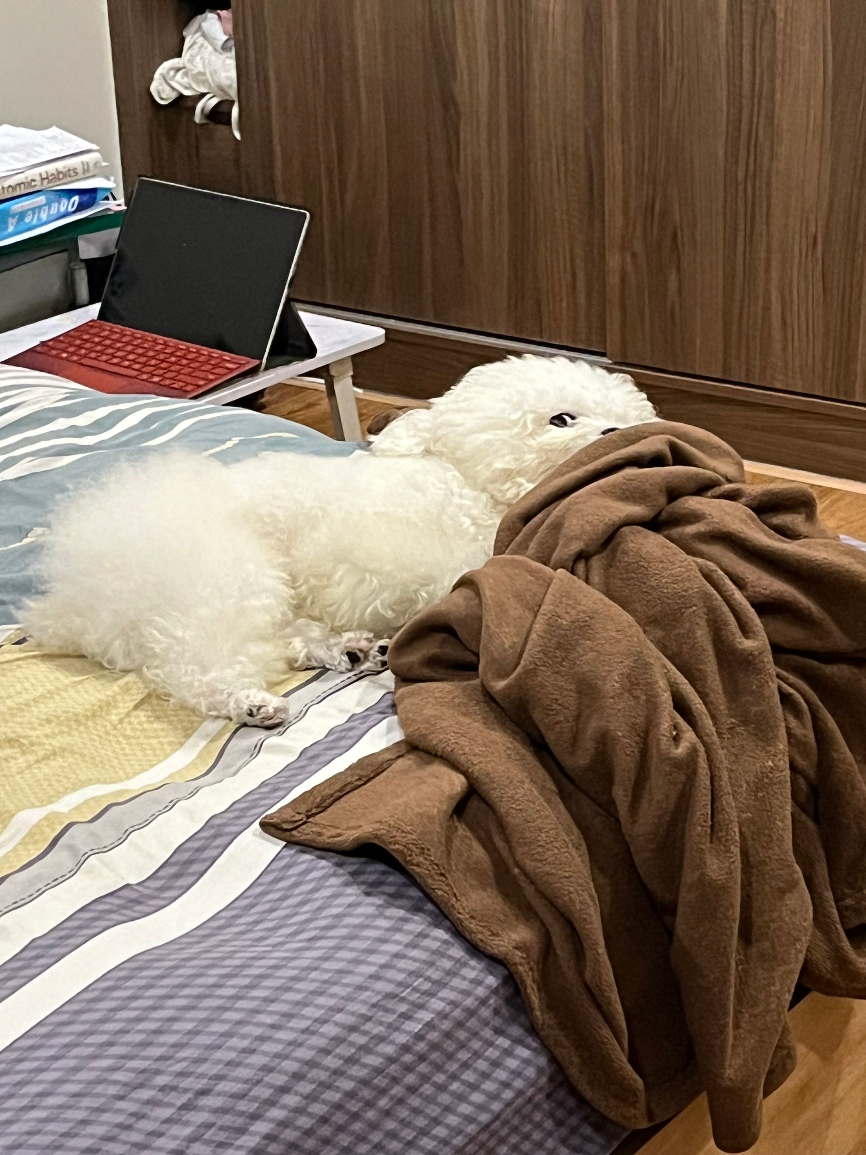 image-15