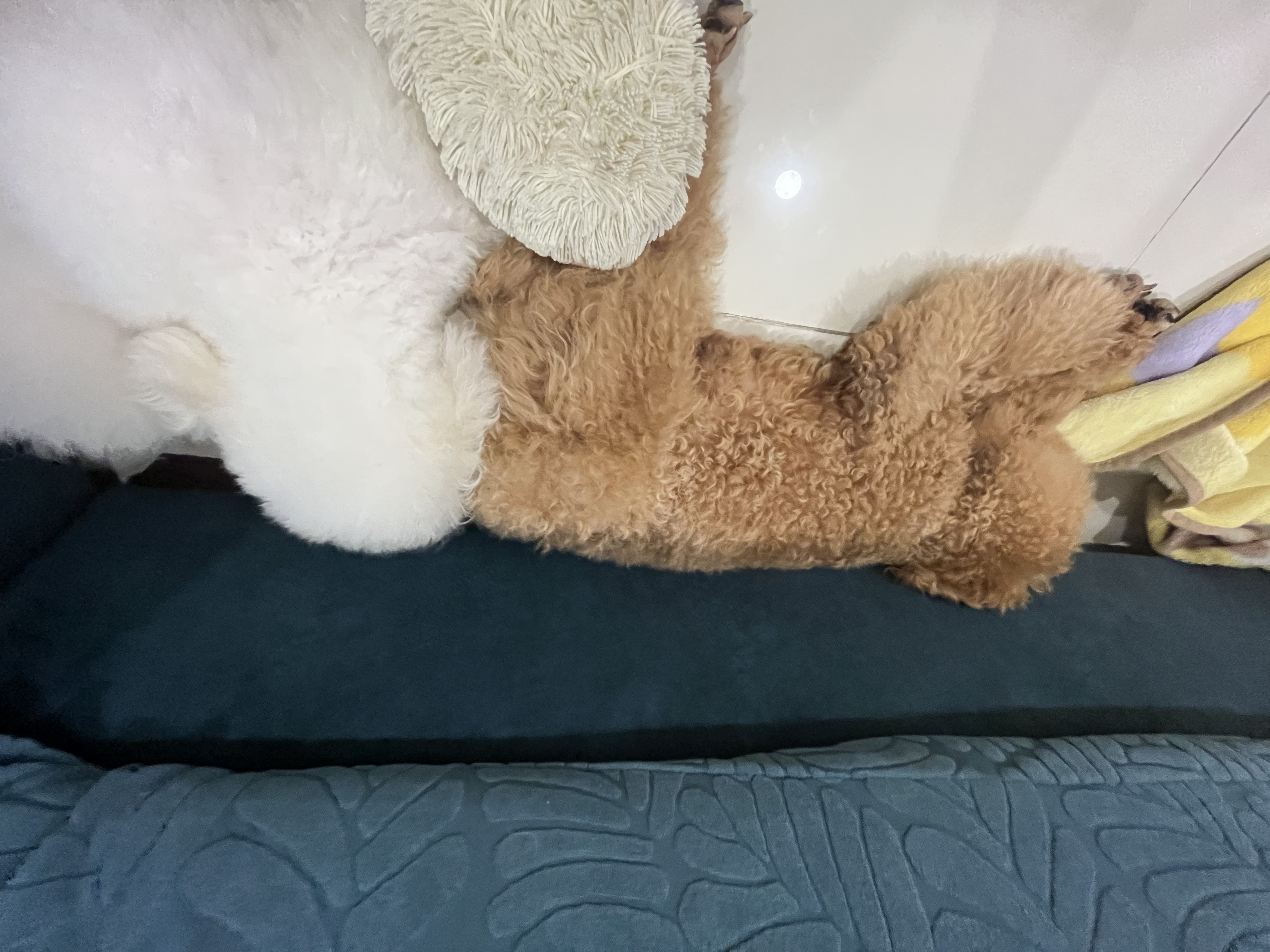 image-8