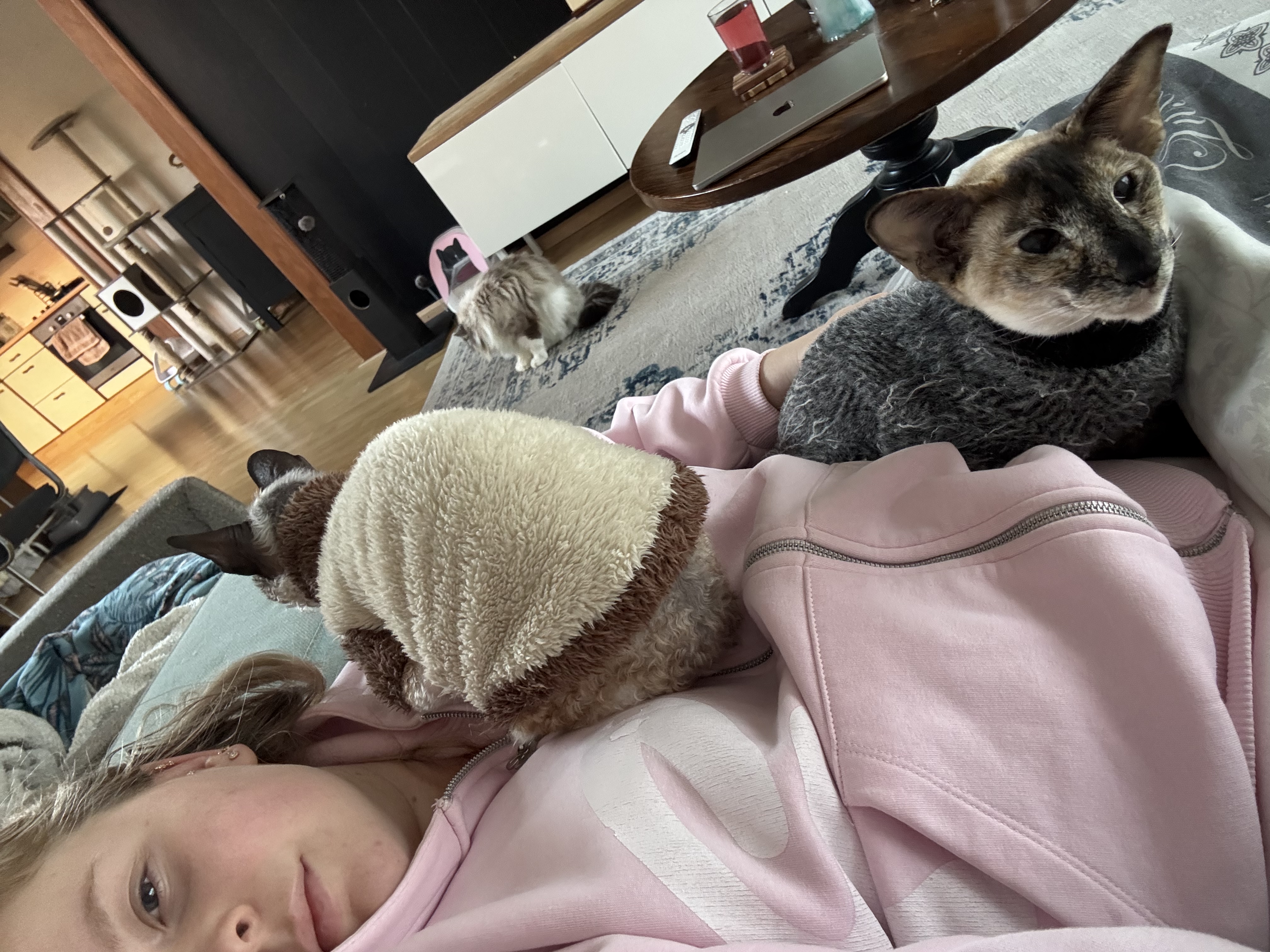 image-6