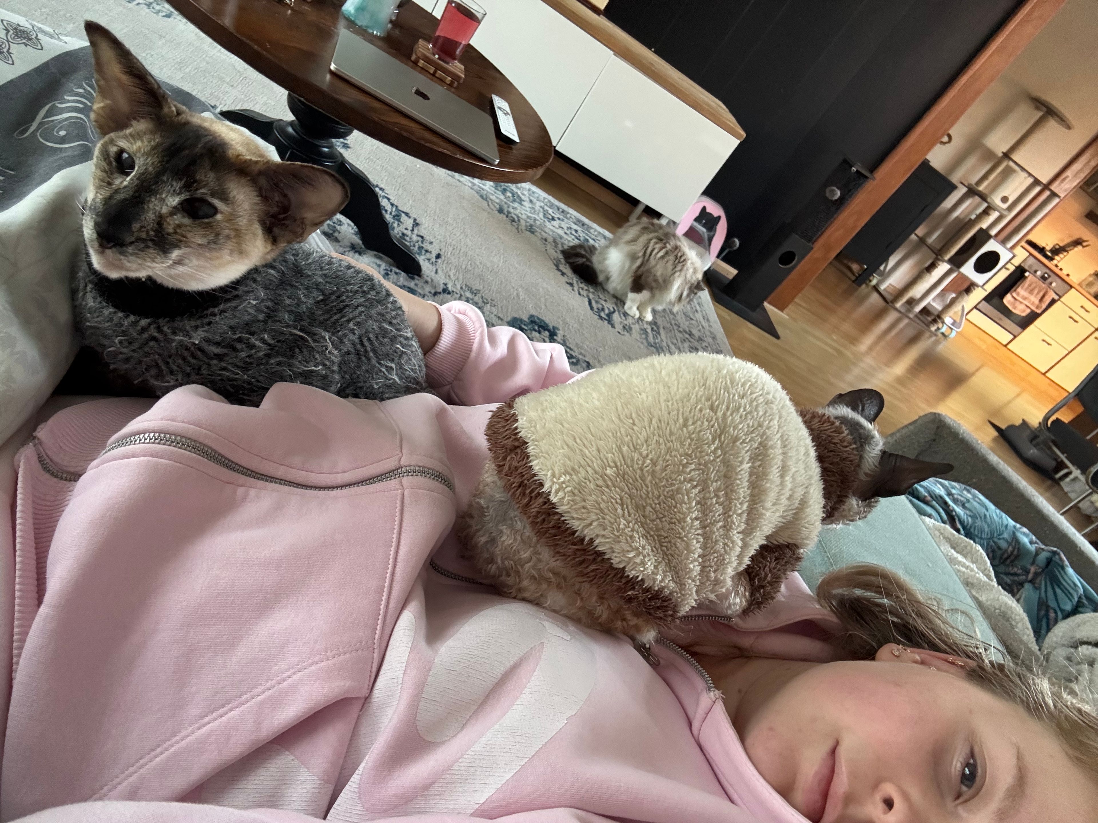 image-6