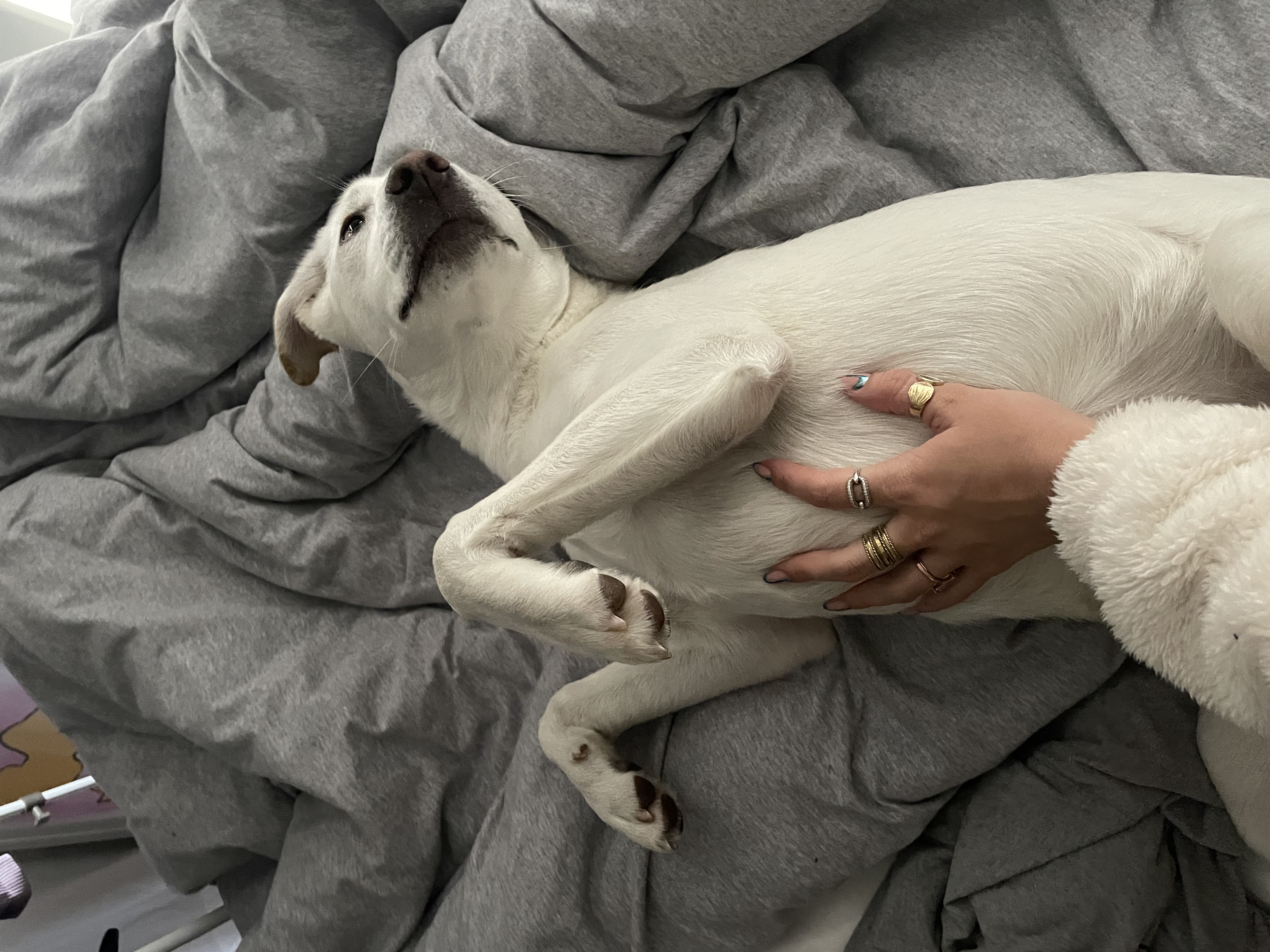 image-7