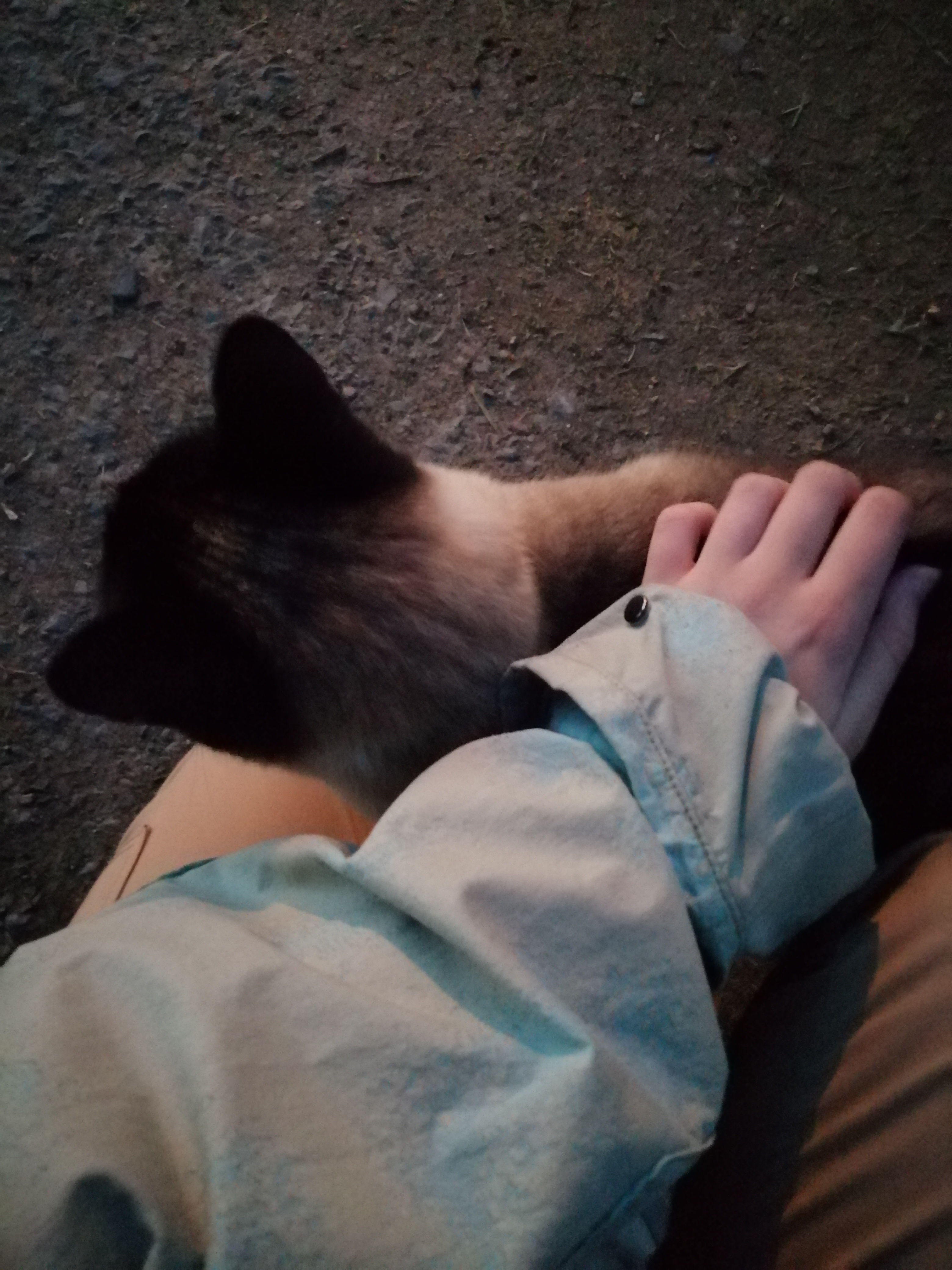 image-8