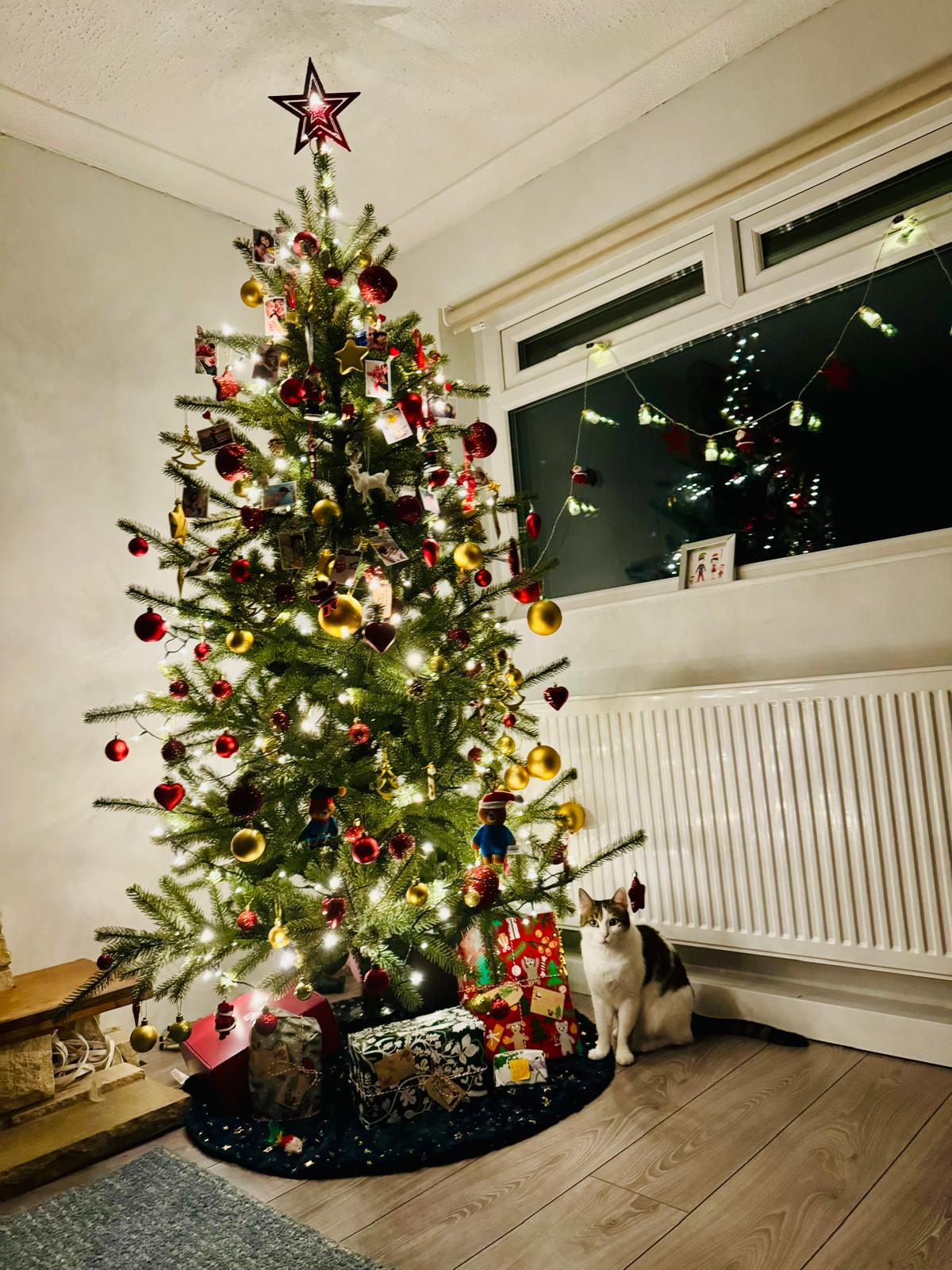 image-11