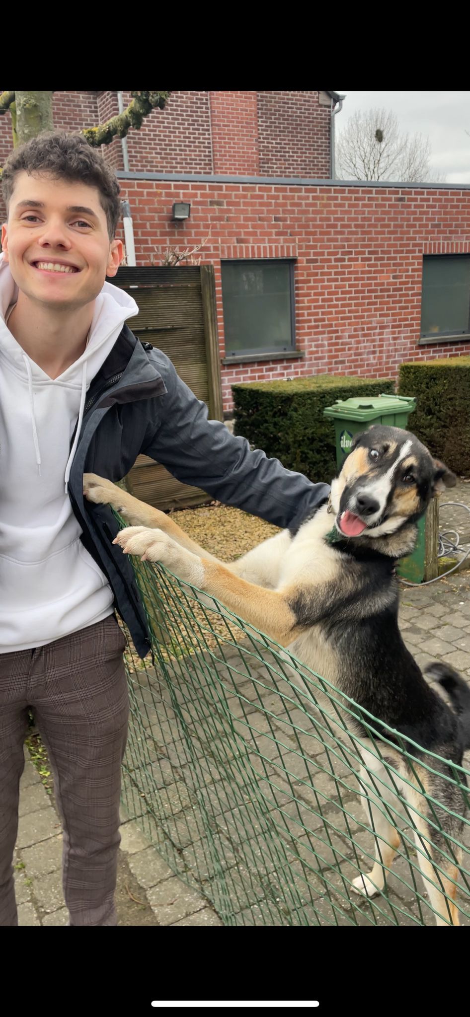 image-7