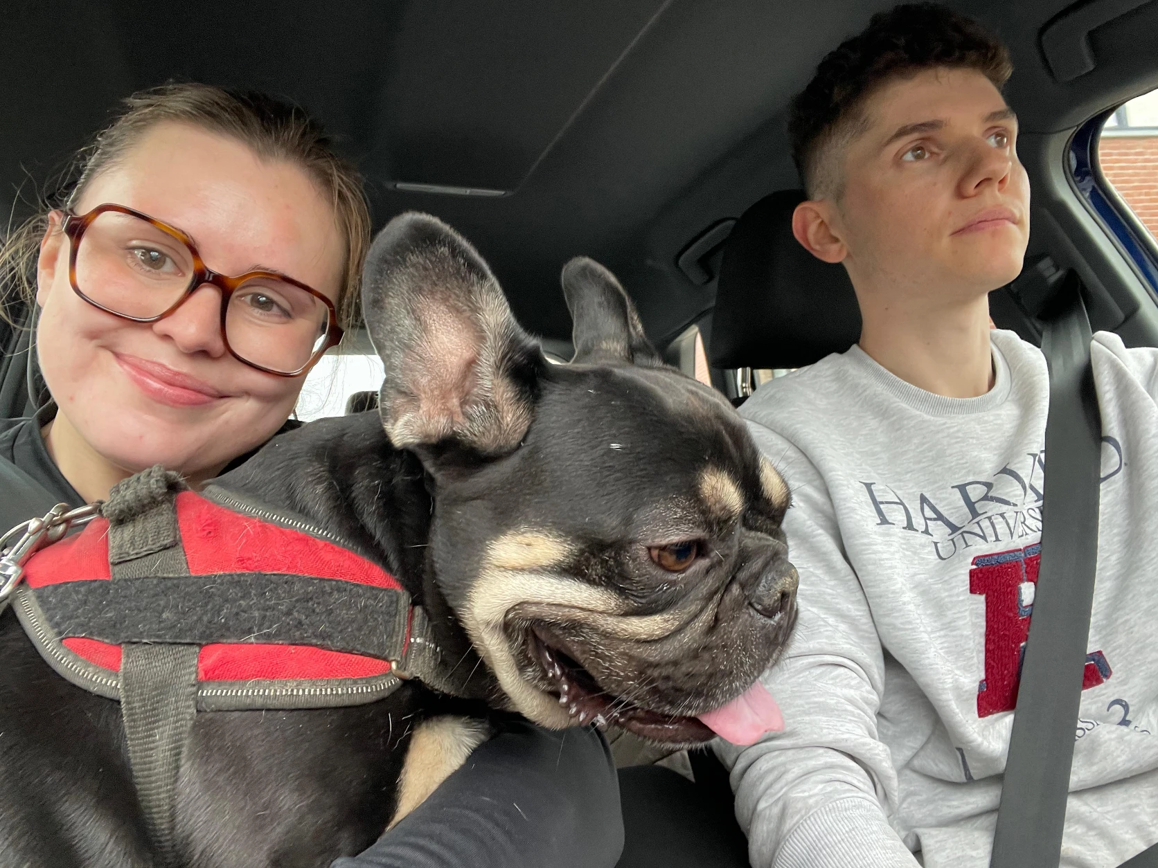 image-17