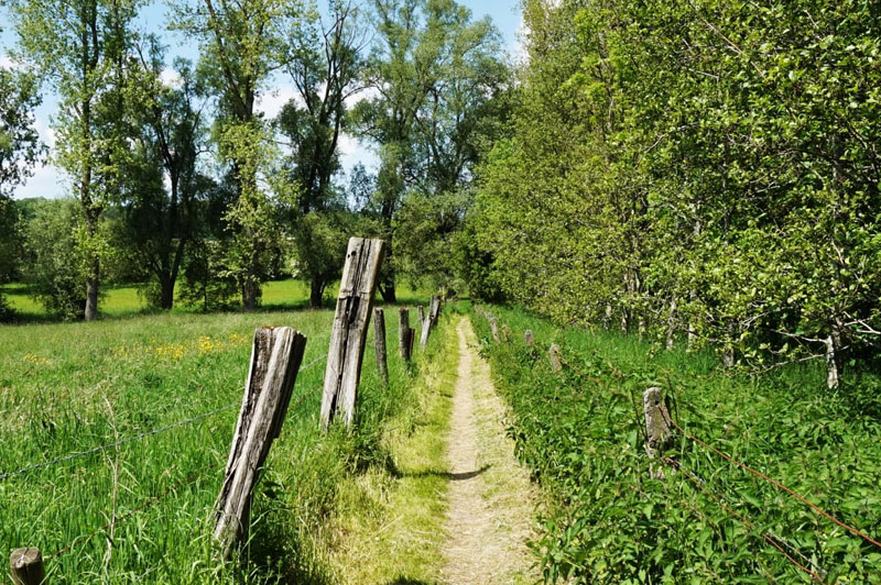 image-23