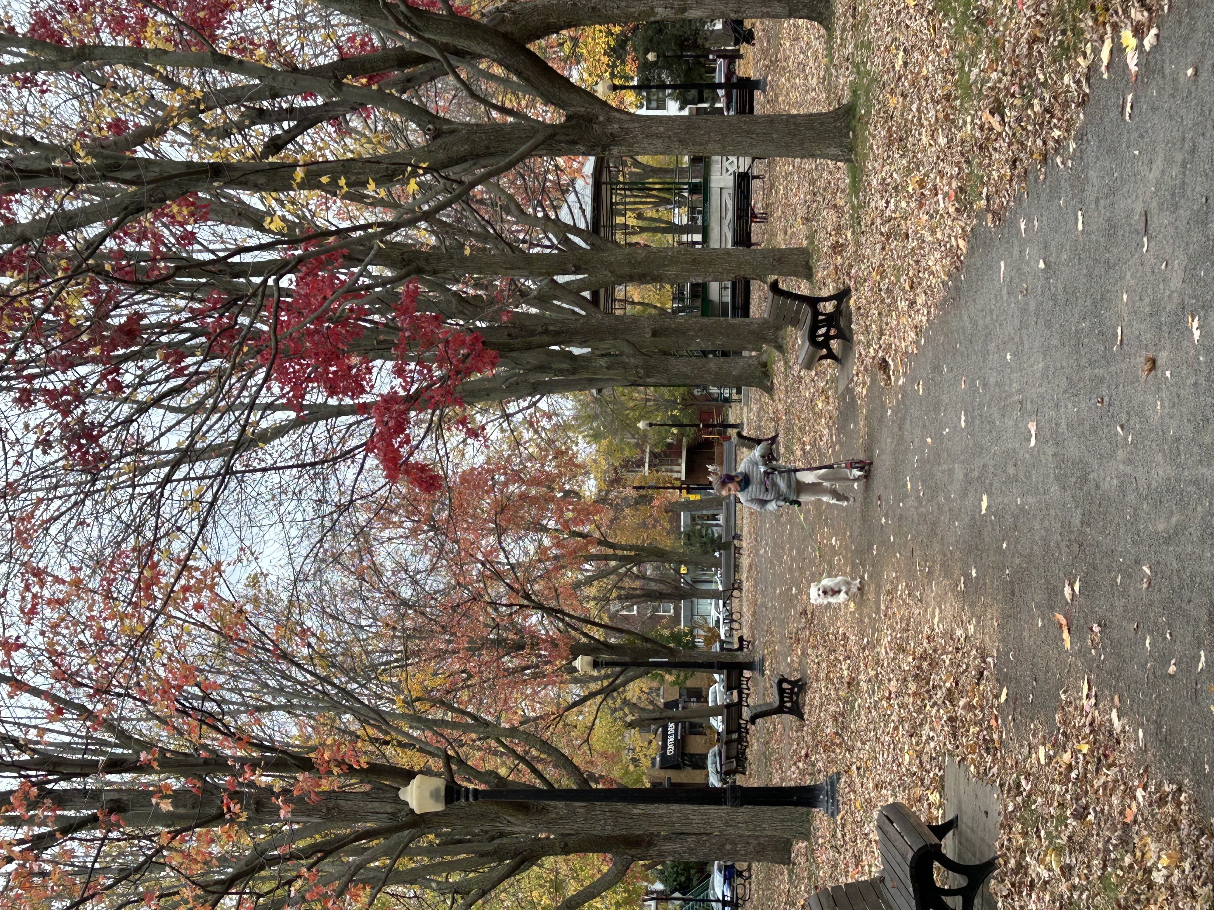 image-16