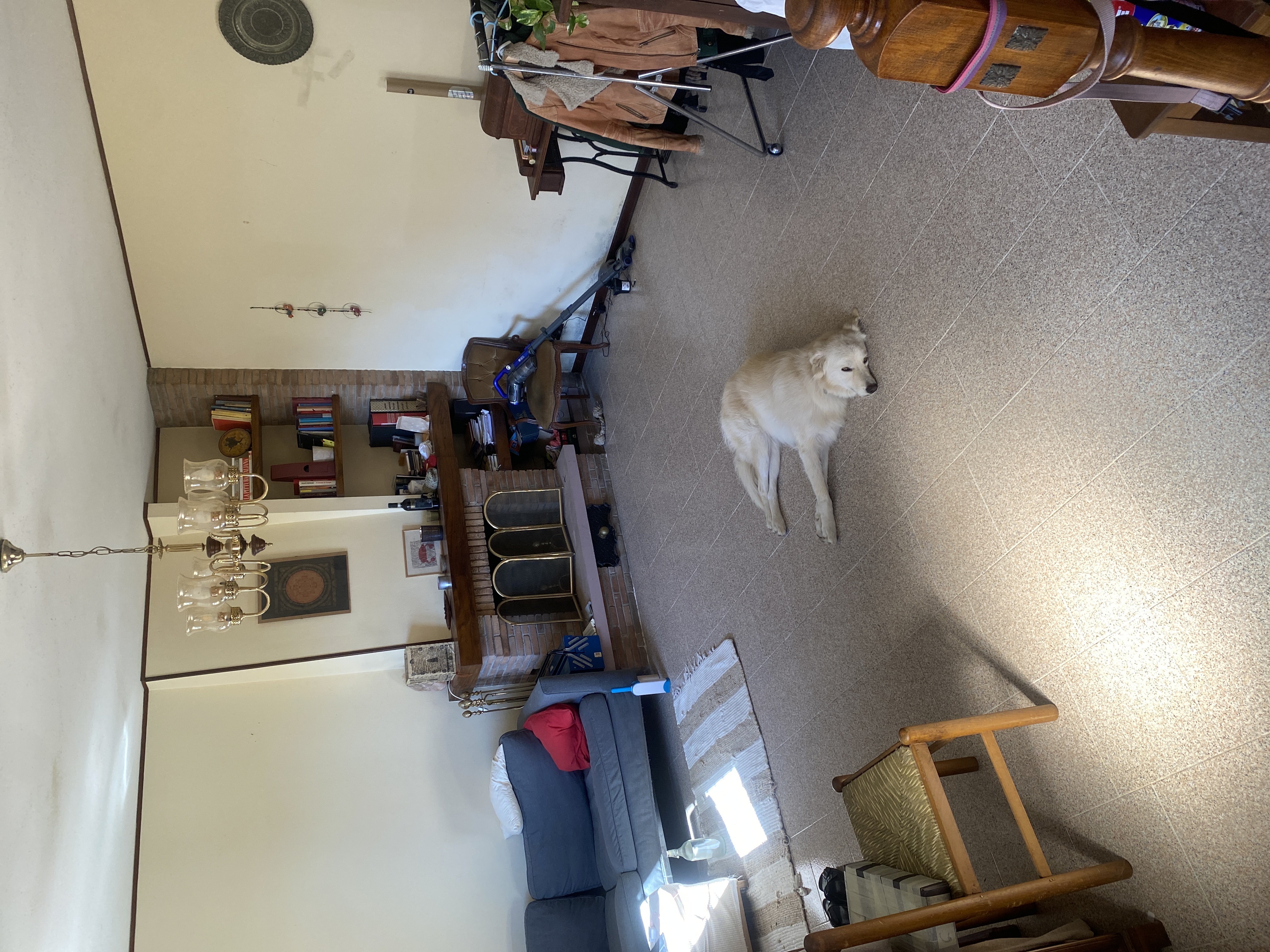 image-15