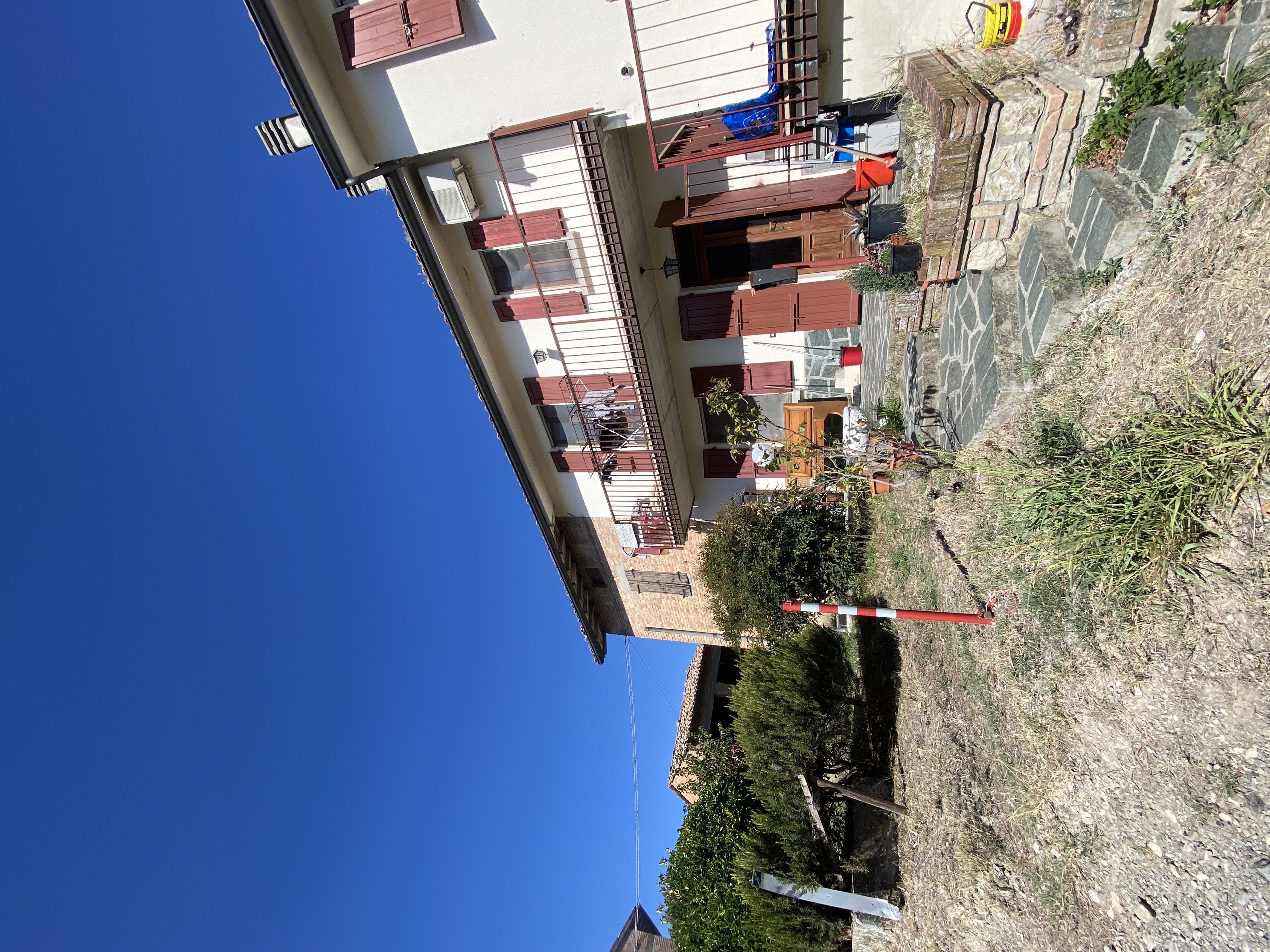 image-20