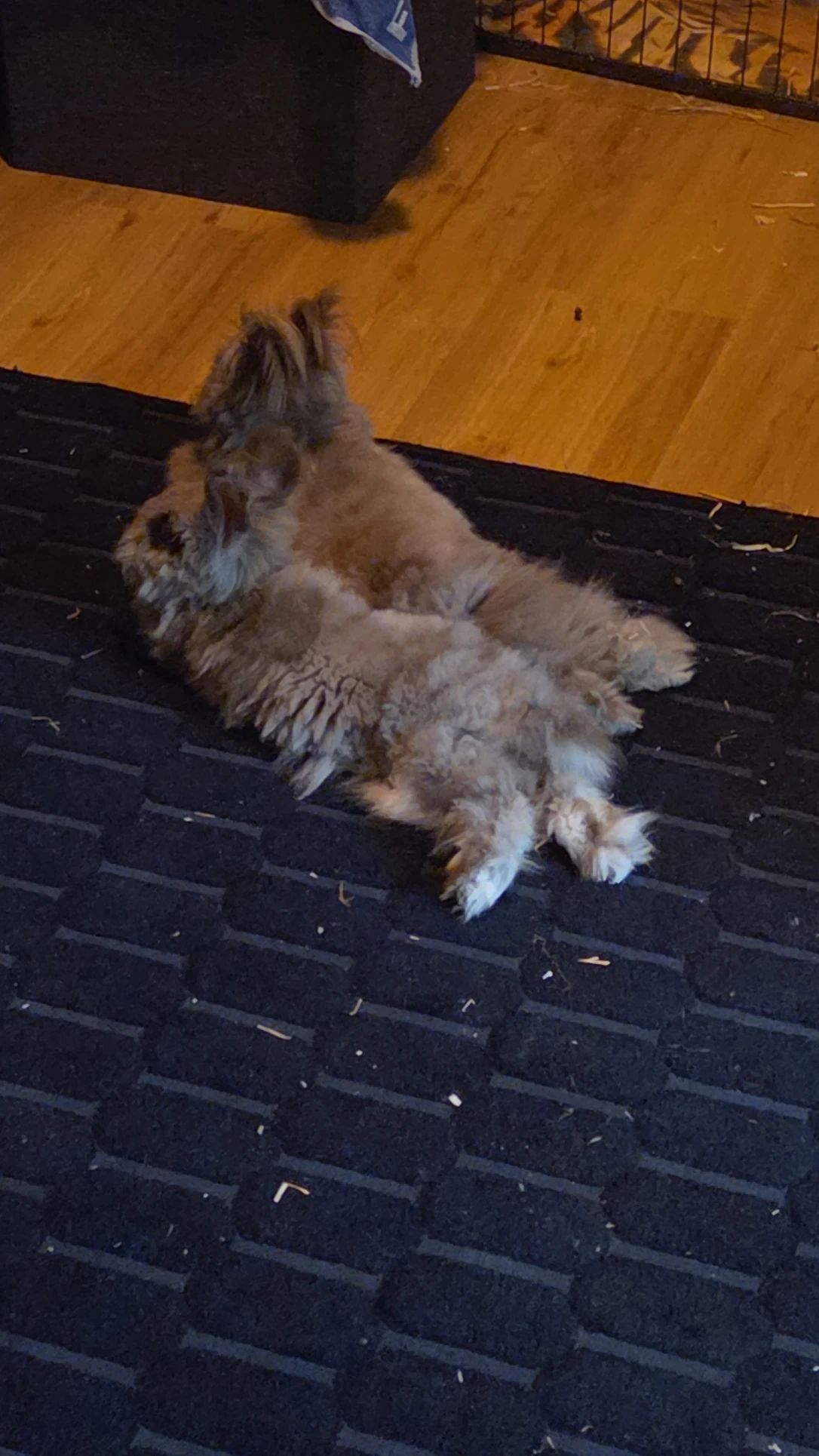 image-13