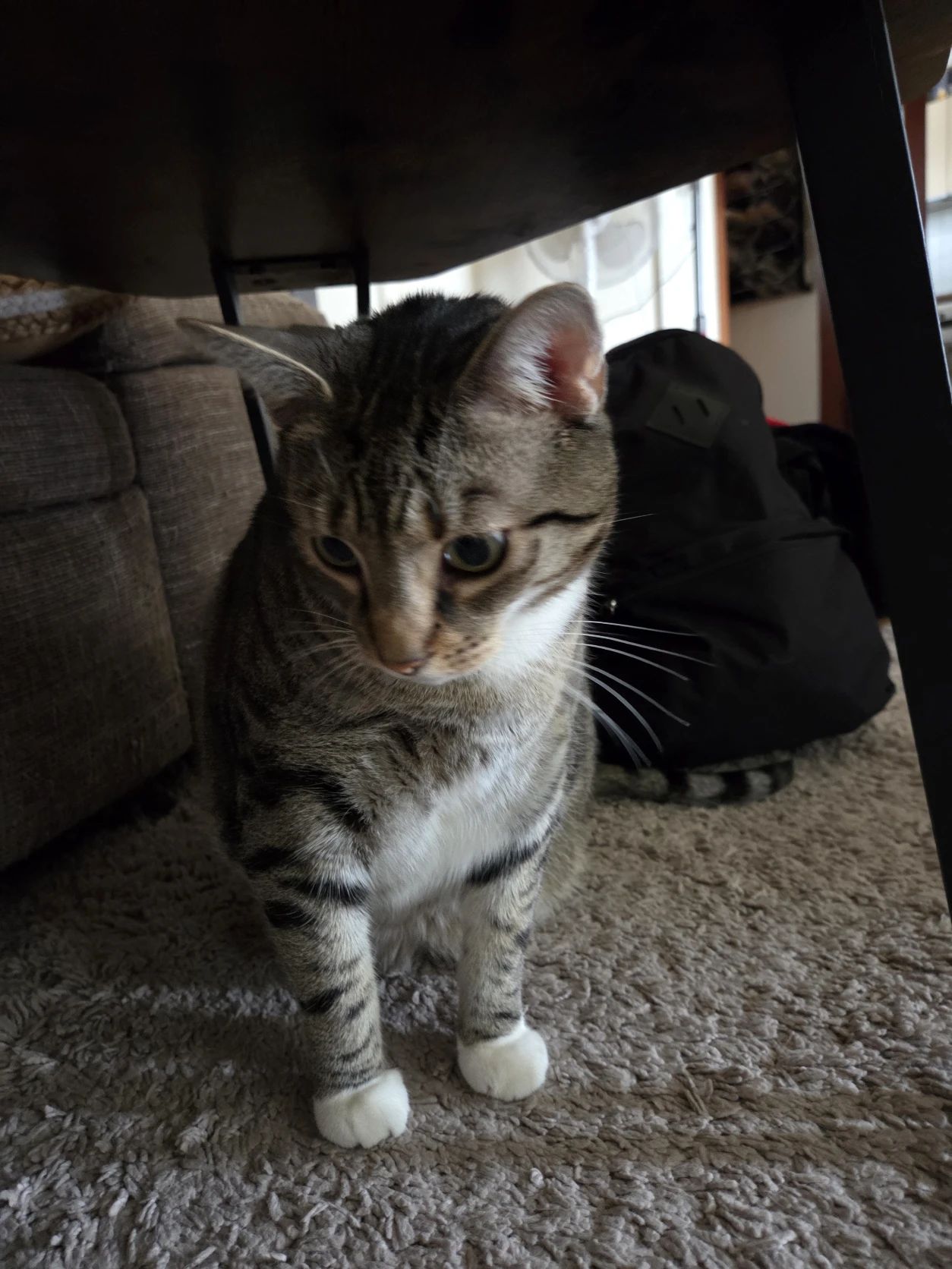 image-12
