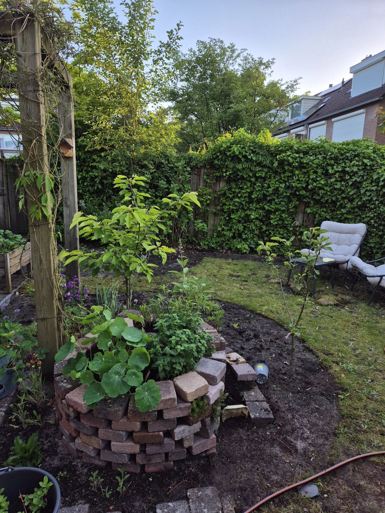 image-11