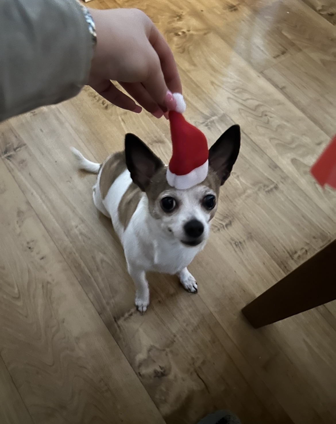 image-7