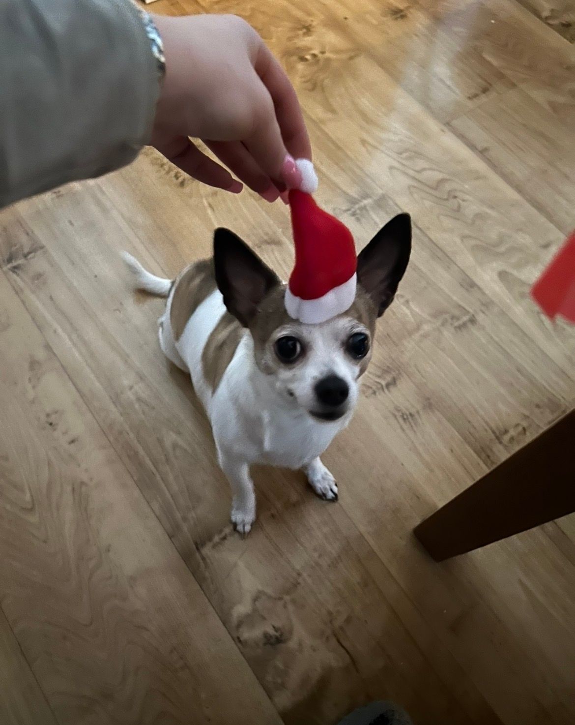 image-7