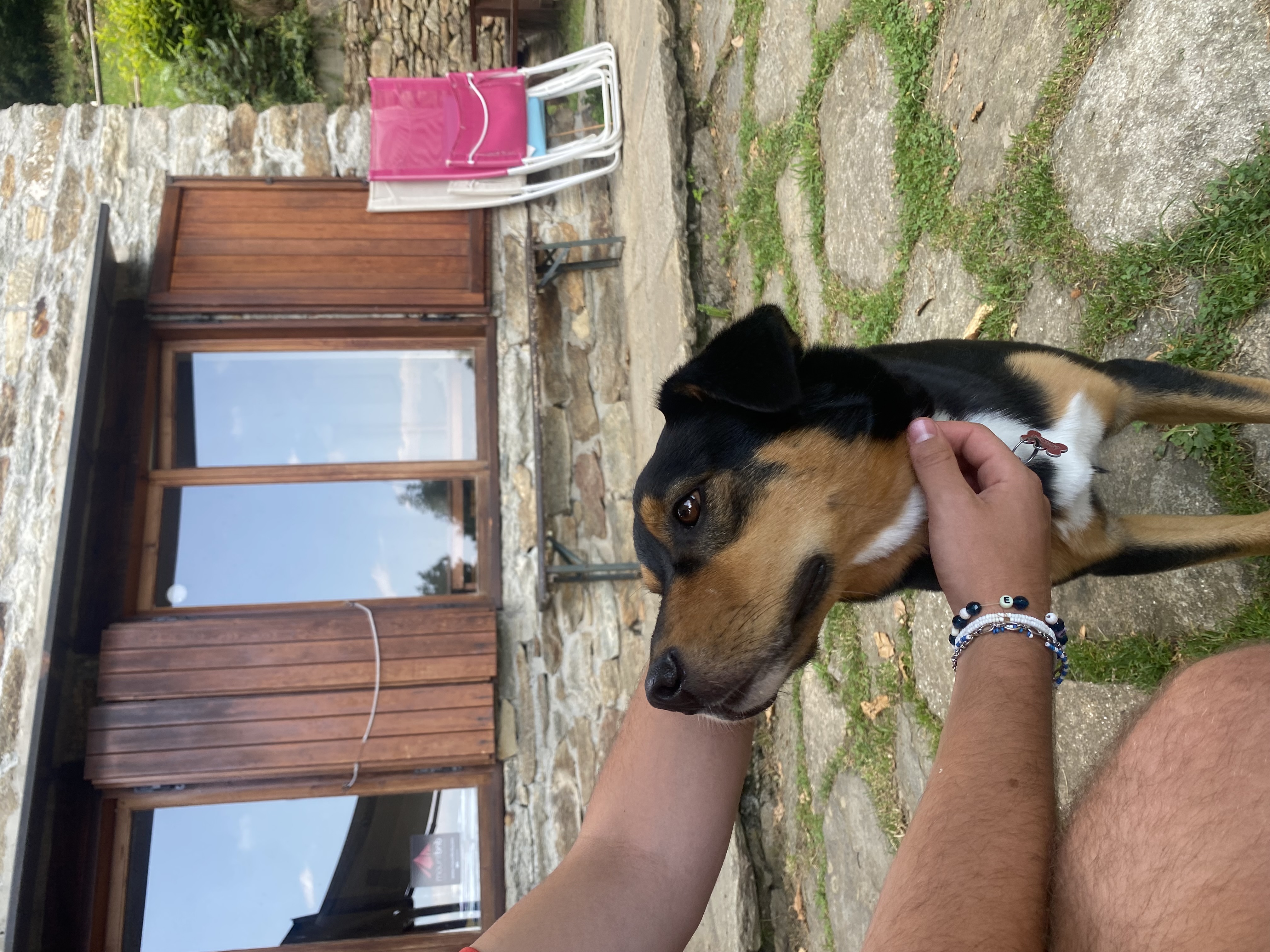 image-7