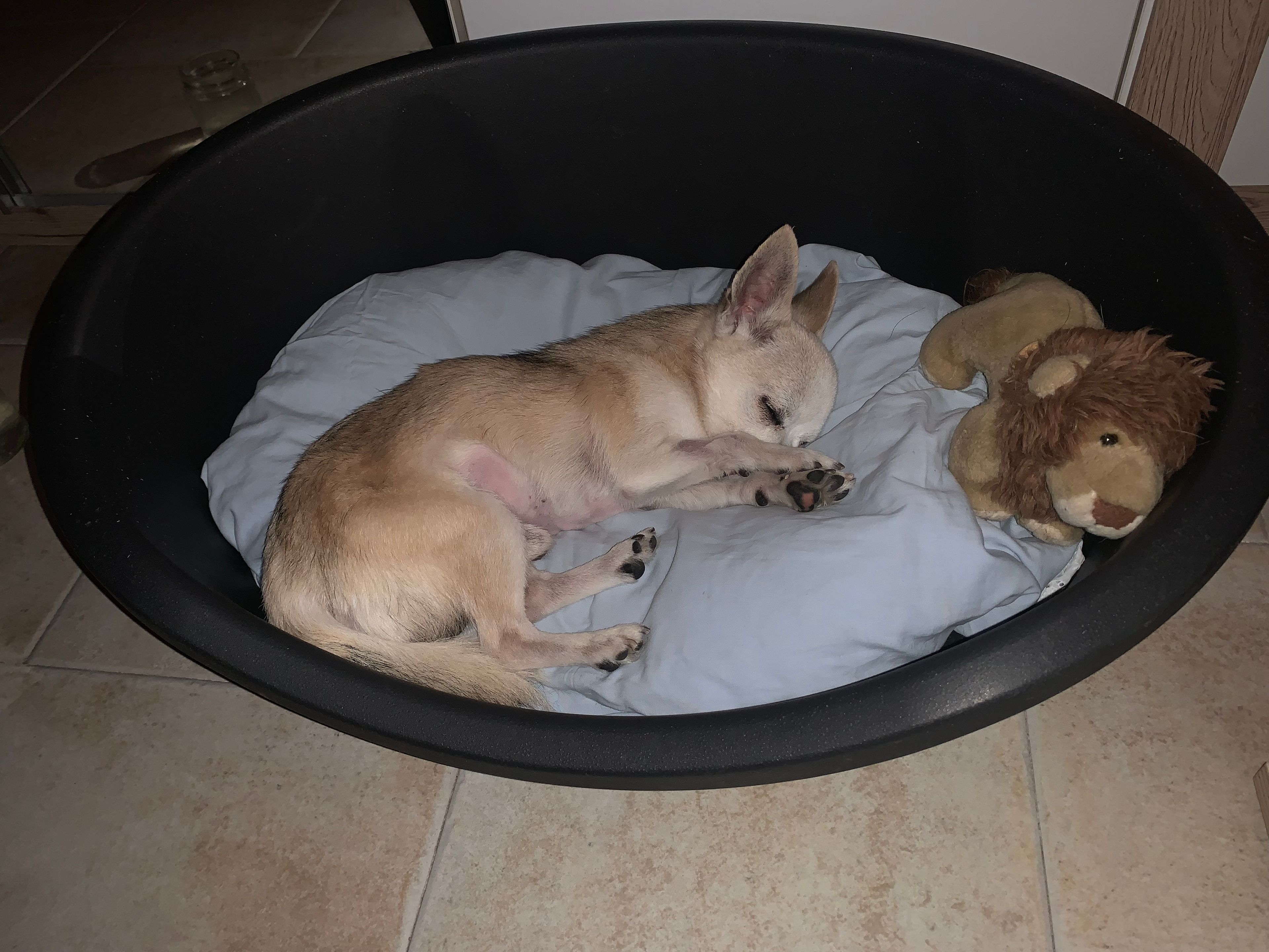 image-3