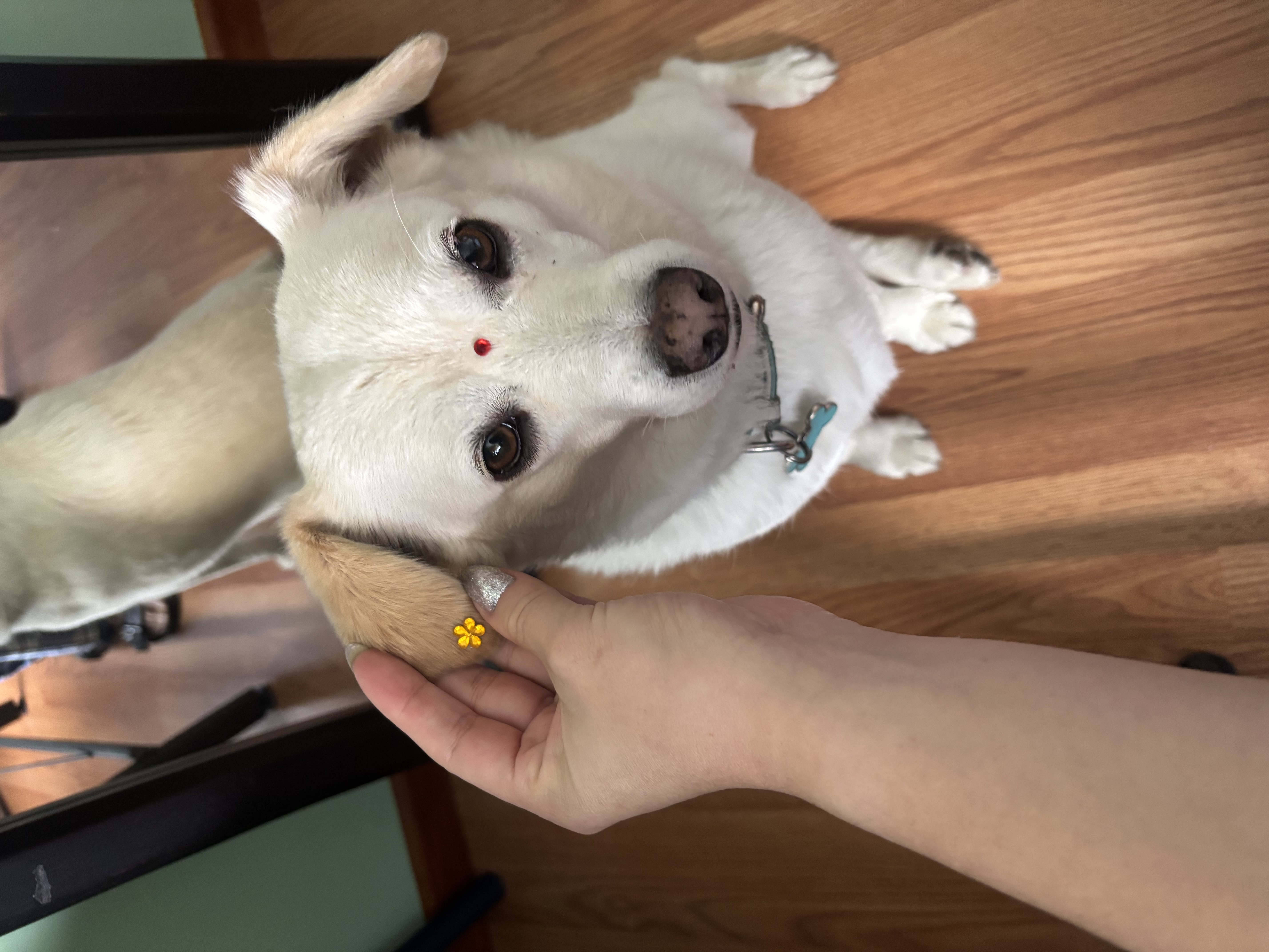 image-7