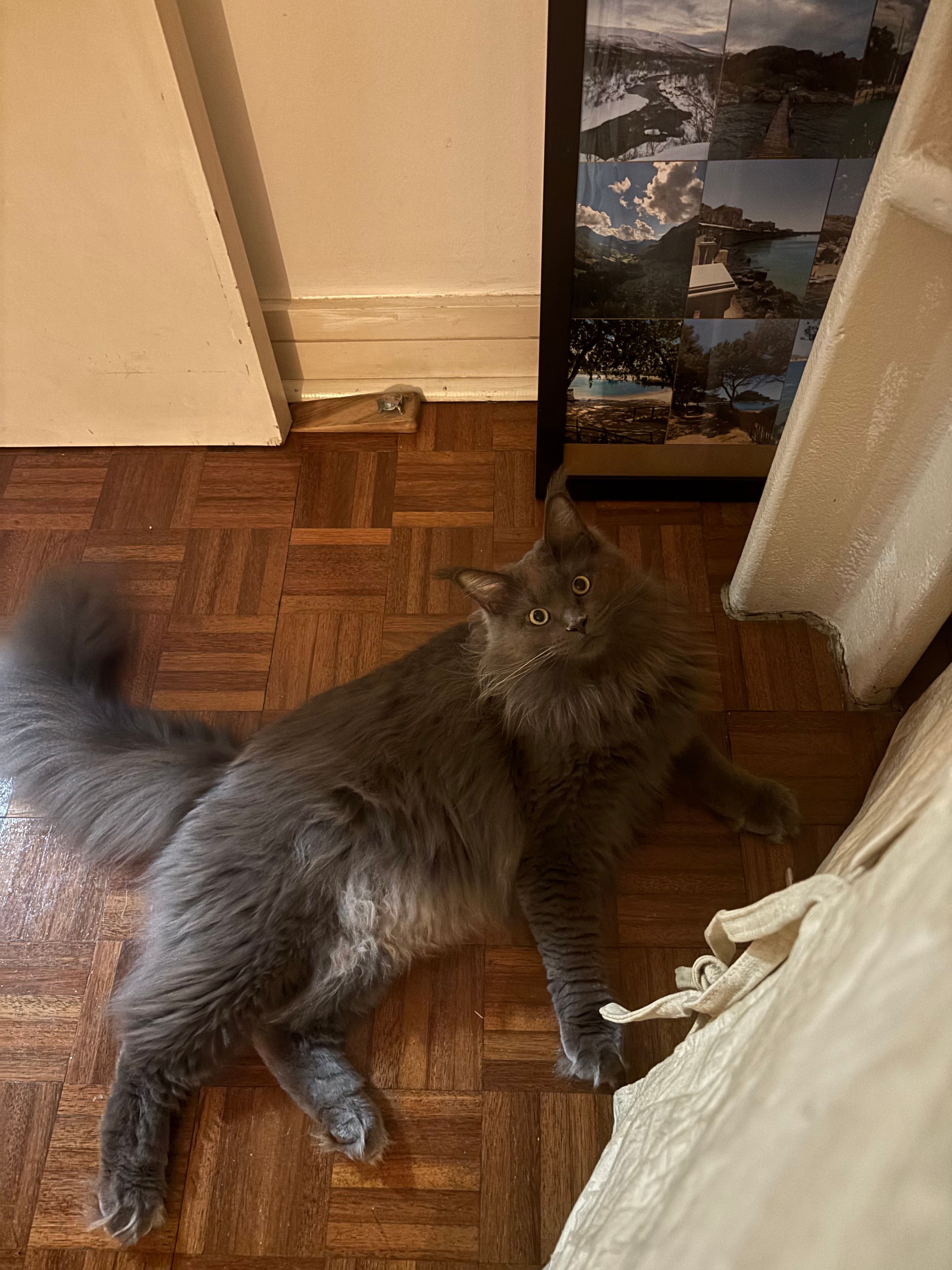 image-11