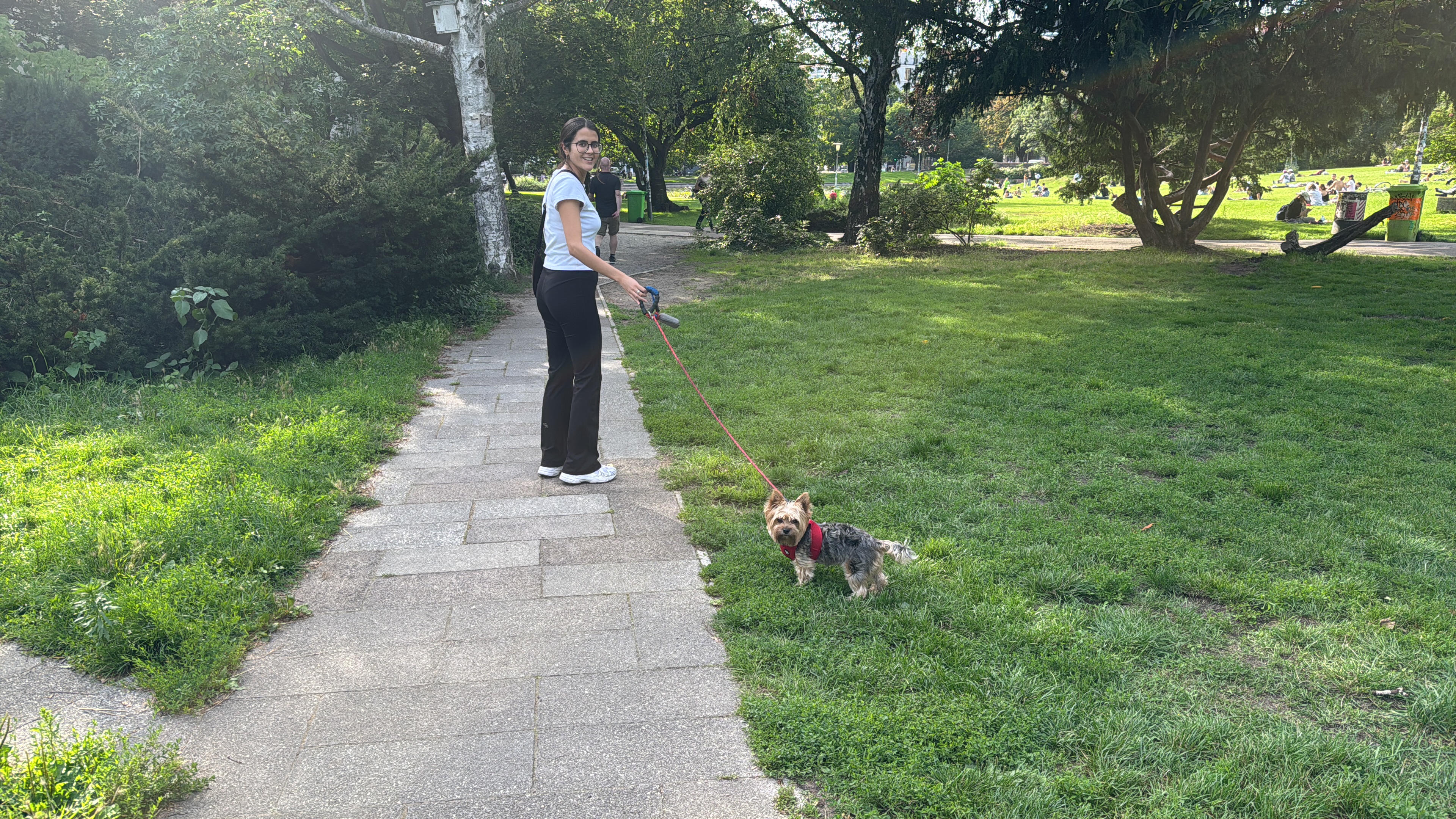 image-11